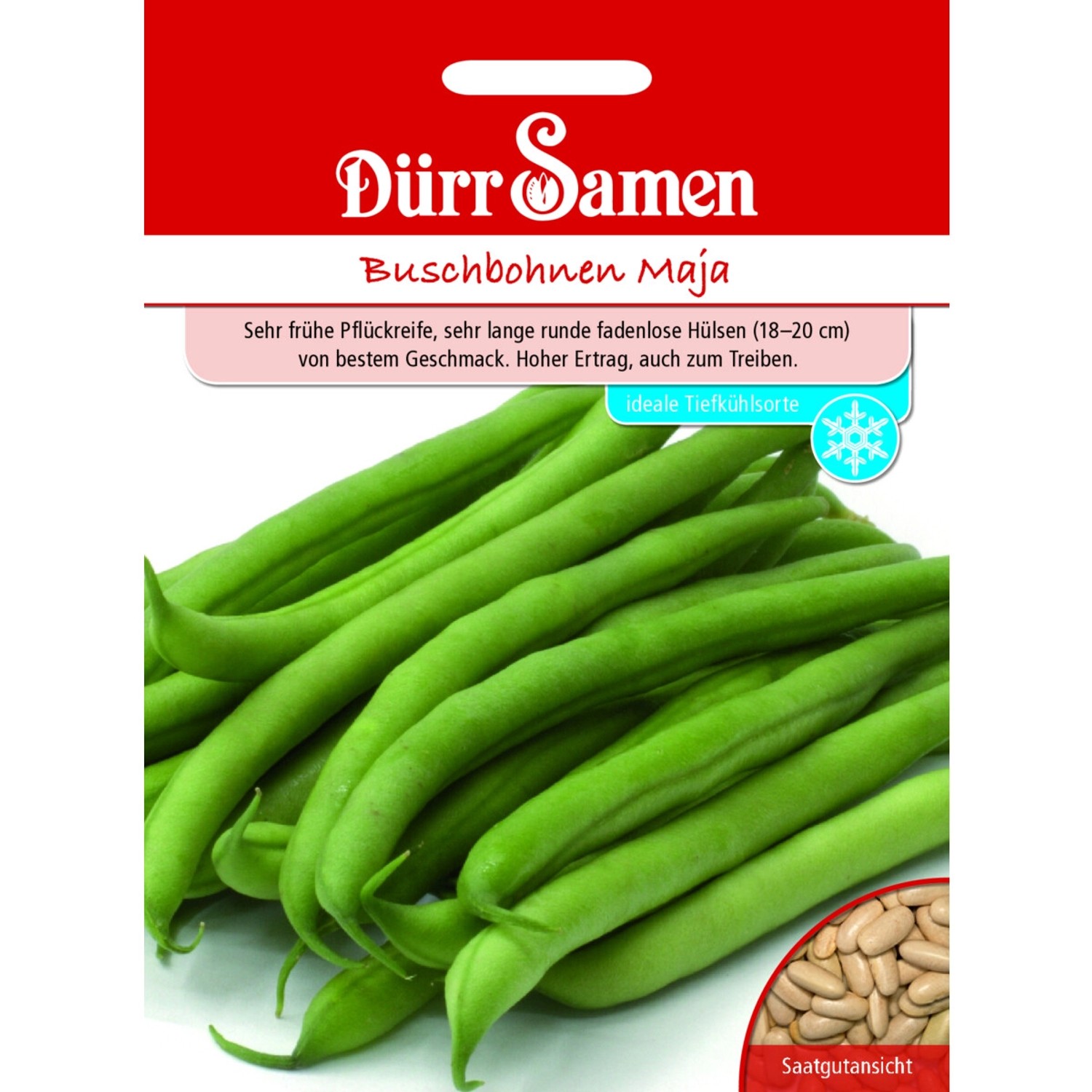 Dürr Samen Buschbohnen Maja Saatgut günstig online kaufen