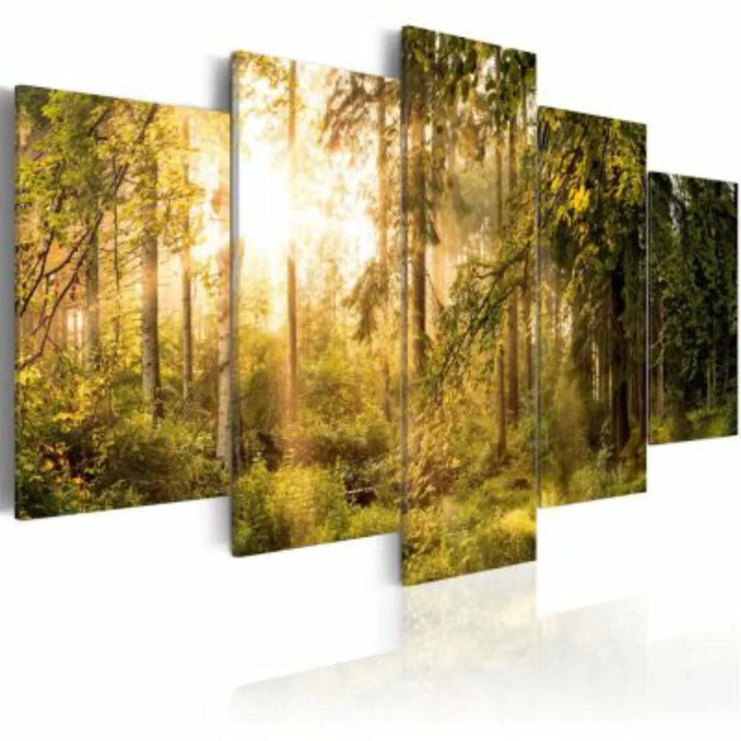 artgeist Wandbild Magic of Forest mehrfarbig Gr. 200 x 100 günstig online kaufen
