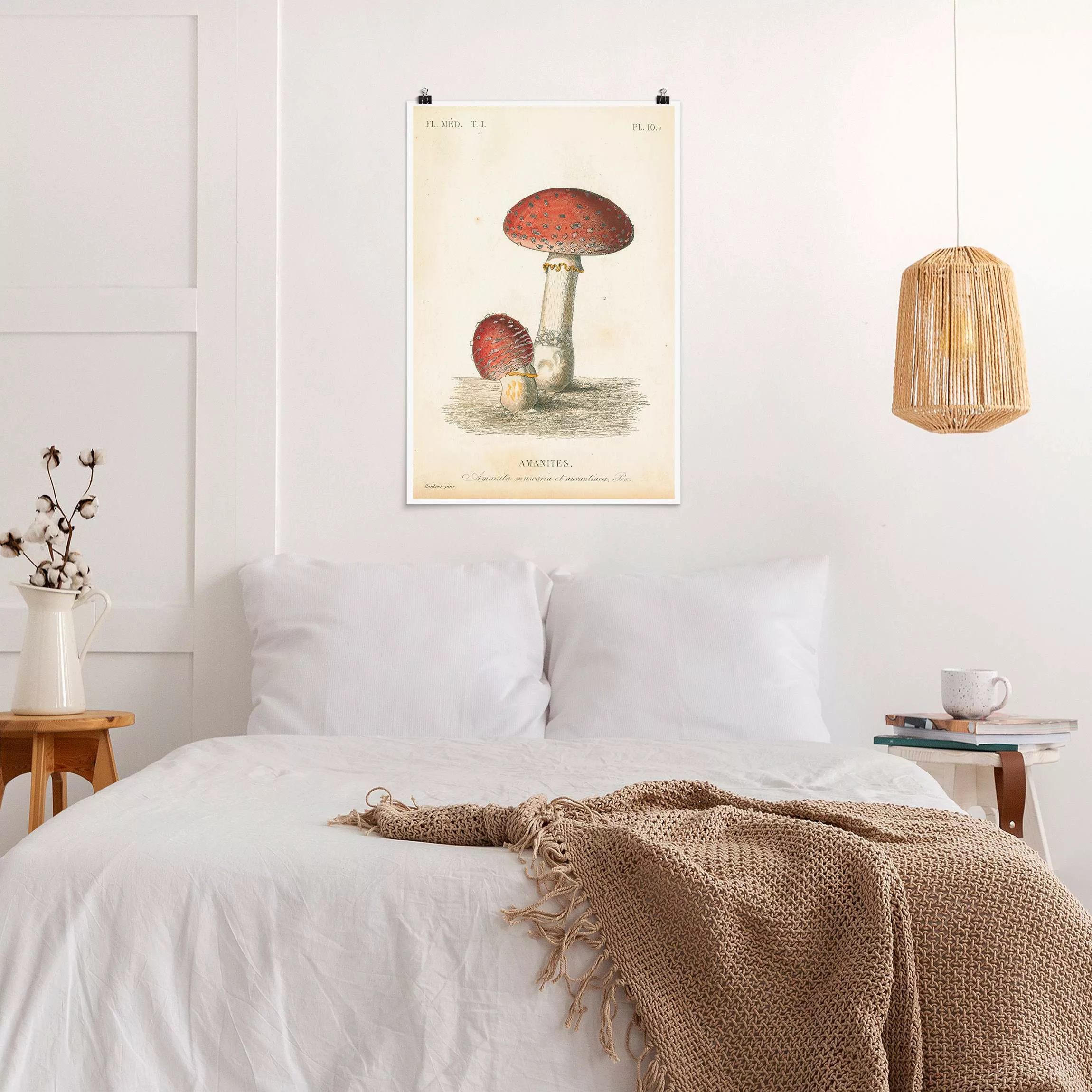 Poster Französische Pilze II günstig online kaufen