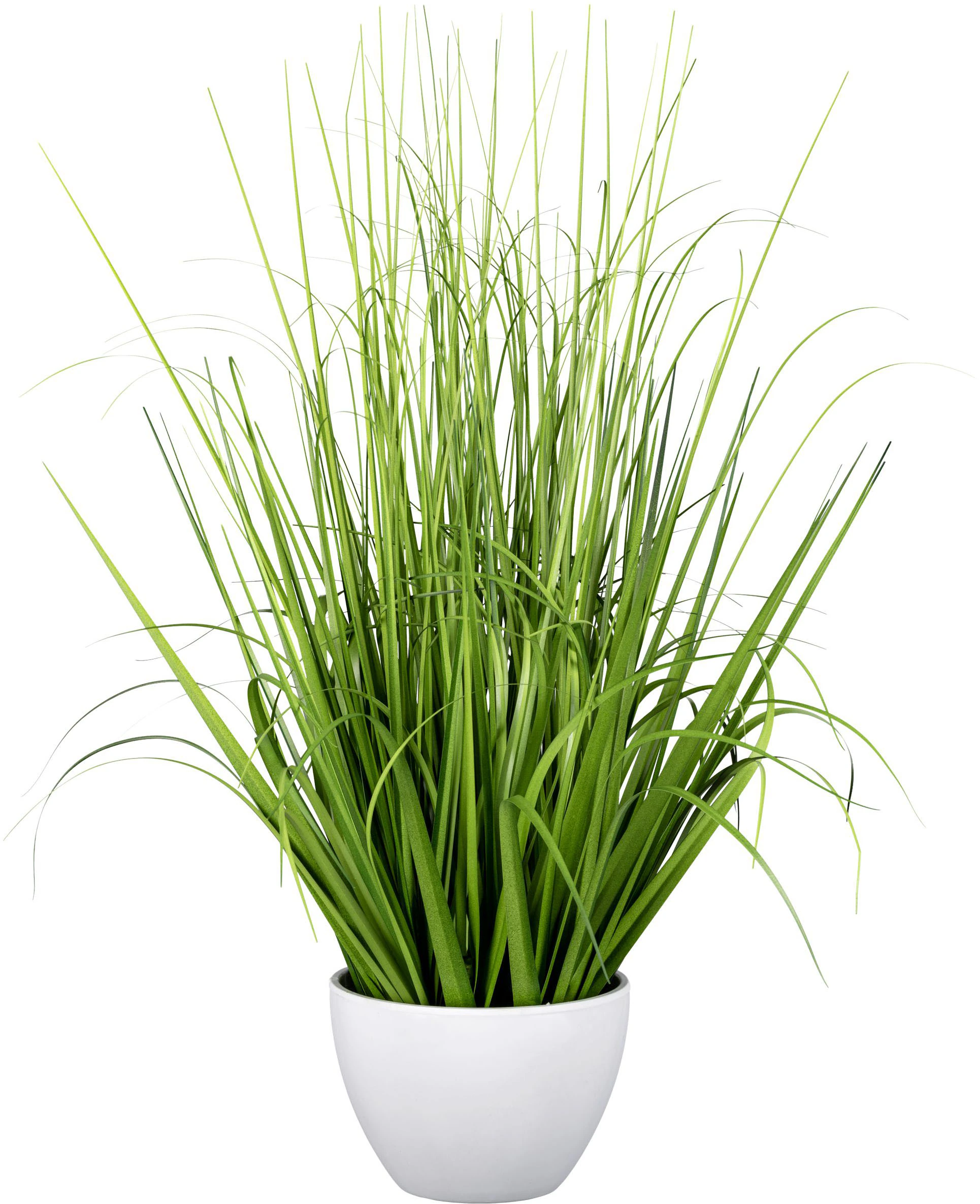 Creativ green Kunstgras "Grasbusch", mit zahlreichen Grashalmen günstig online kaufen