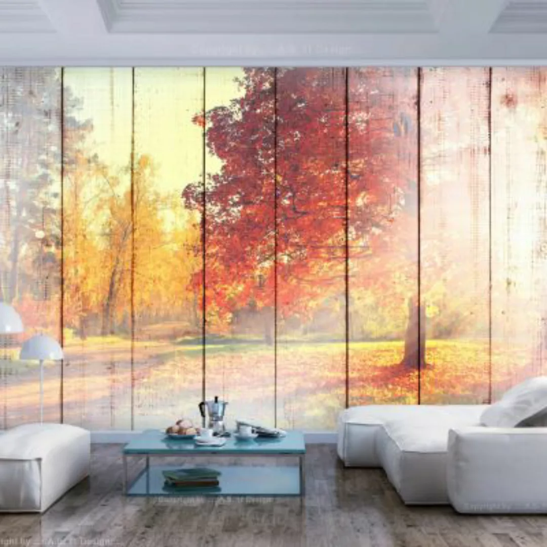 artgeist Fototapete Autumn Sun mehrfarbig Gr. 400 x 280 günstig online kaufen
