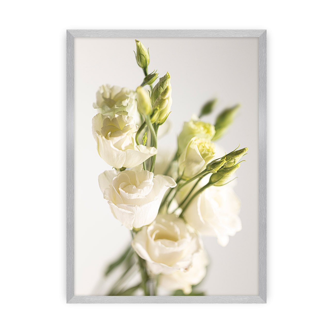 Poster Elegant Flowers, 70 x 100 cm, Rahmen wählen: silber günstig online kaufen