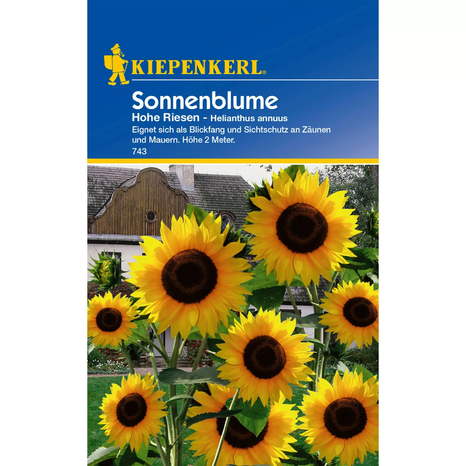 Kiepenkerl Sonnenblume Hohe Riesen Helianthus annuus günstig online kaufen