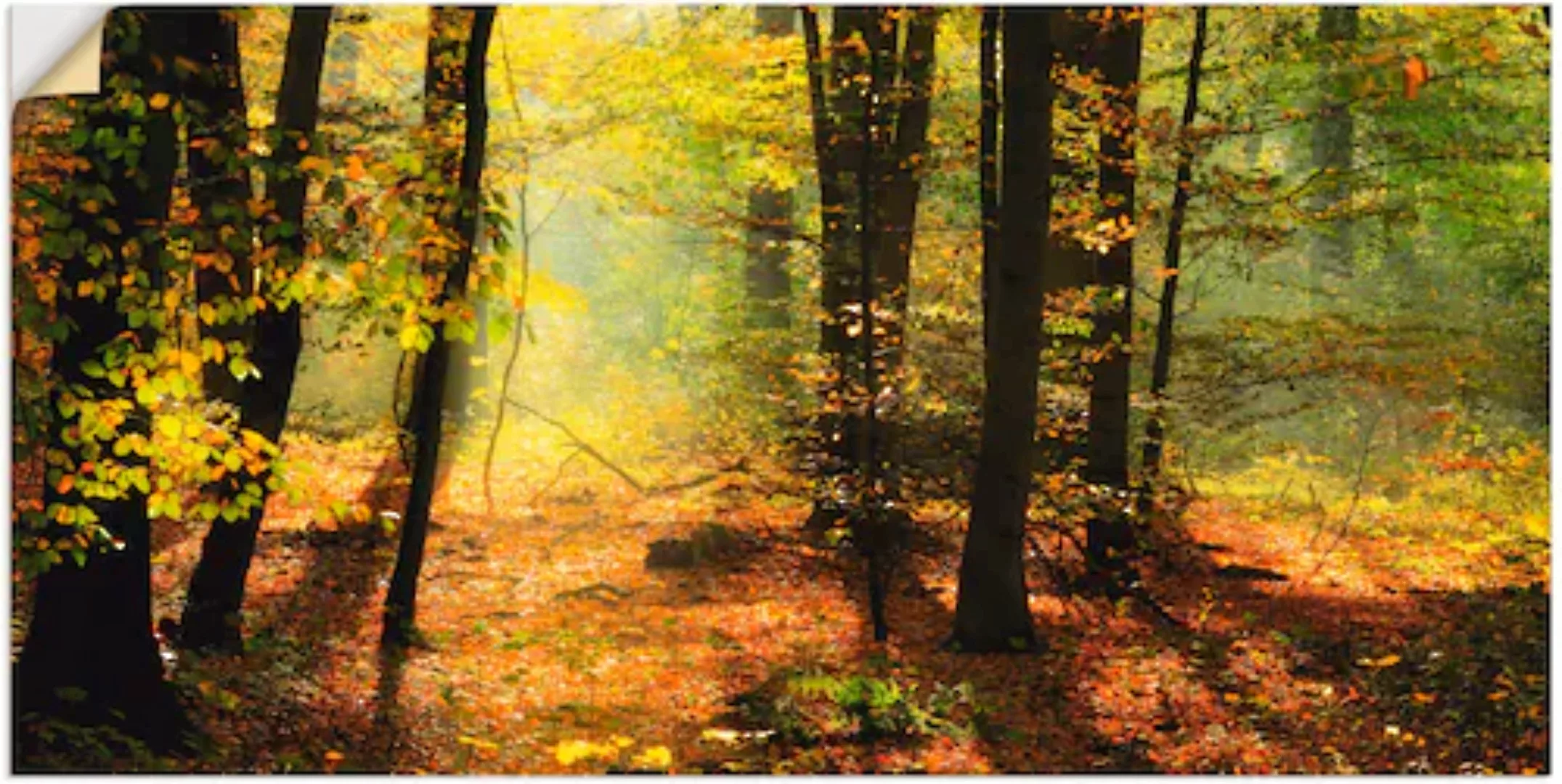 Artland Wandbild »Herbstlicht im Wald«, Wald, (1 St.), als Leinwandbild, Po günstig online kaufen