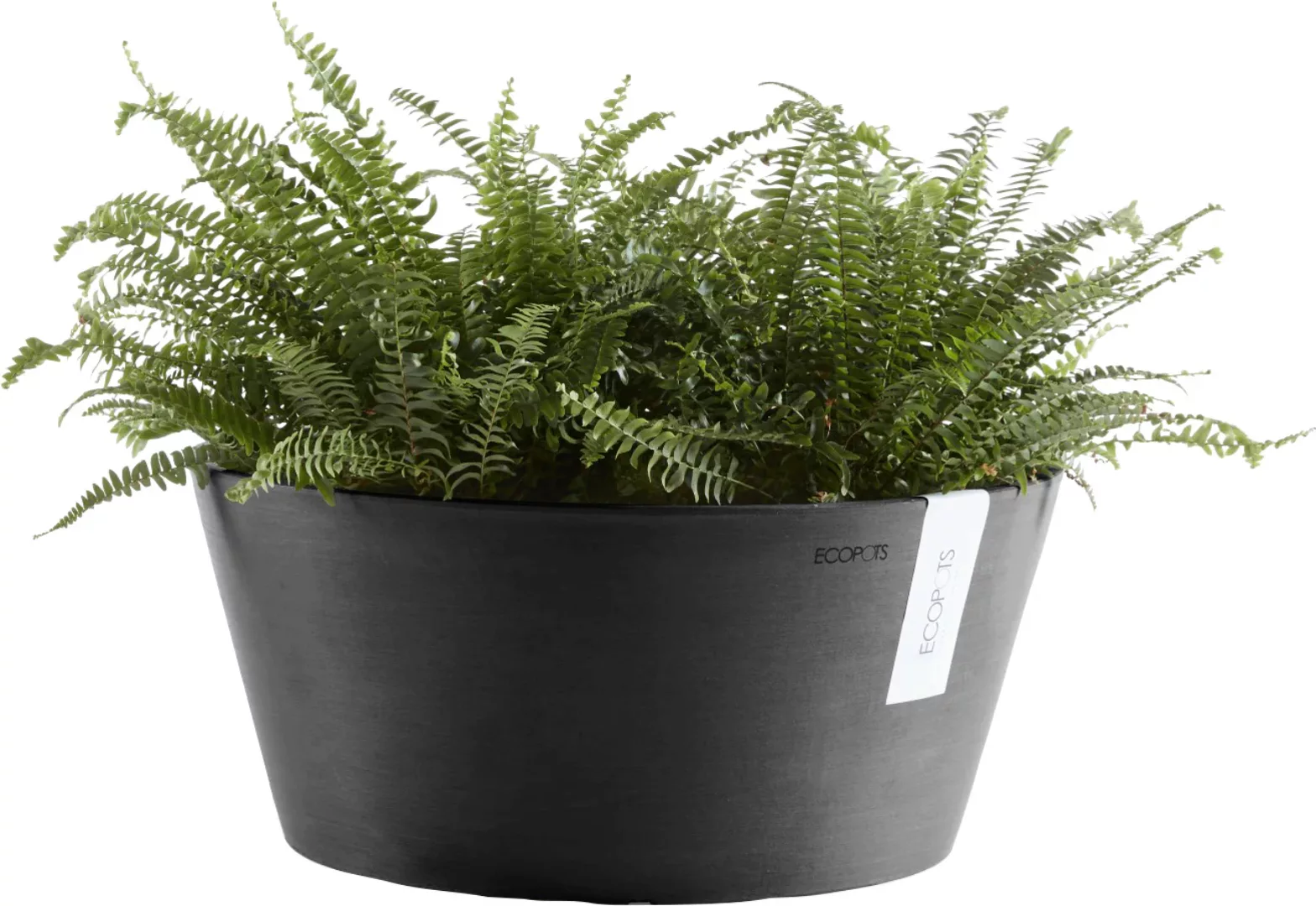 Ecopots Pflanzschale Frankfurt Dunkelgrau 50 cm günstig online kaufen