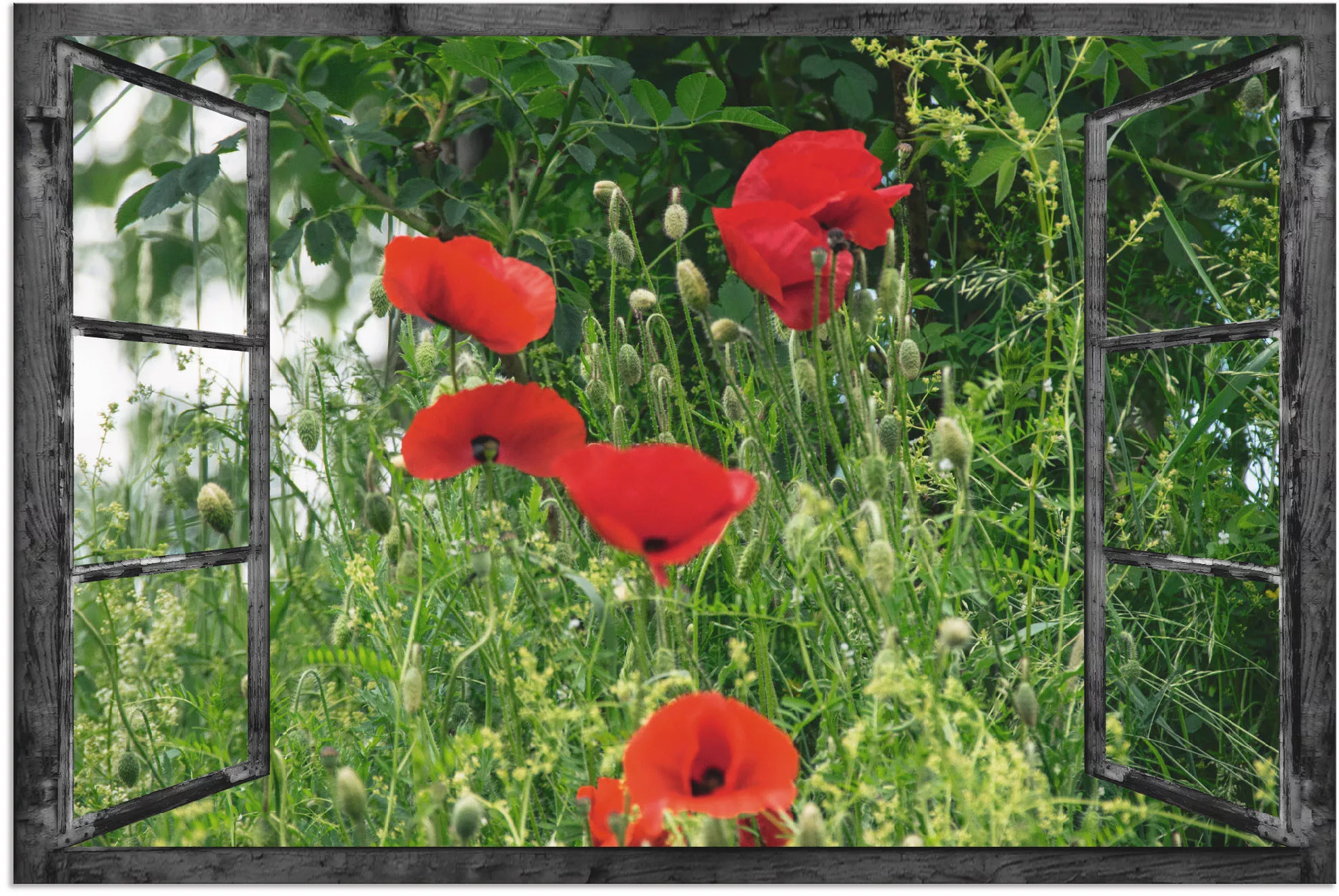 Artland Wandbild "Fensterblick - Klatschmohn", Fensterblick, (1 St.) günstig online kaufen