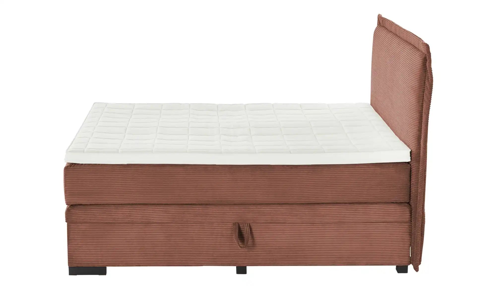 Jette Home Boxspringbett mit Bettkasten  Adapt ¦ kupfer ¦ Maße (cm): B: 222 günstig online kaufen