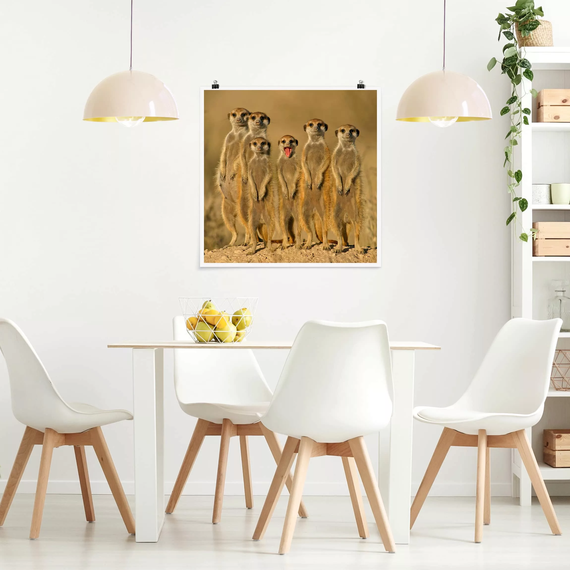 Poster Tiere - Quadrat Meerkat Family günstig online kaufen