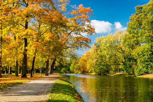 Papermoon Fototapete »River in Autumn Park« günstig online kaufen