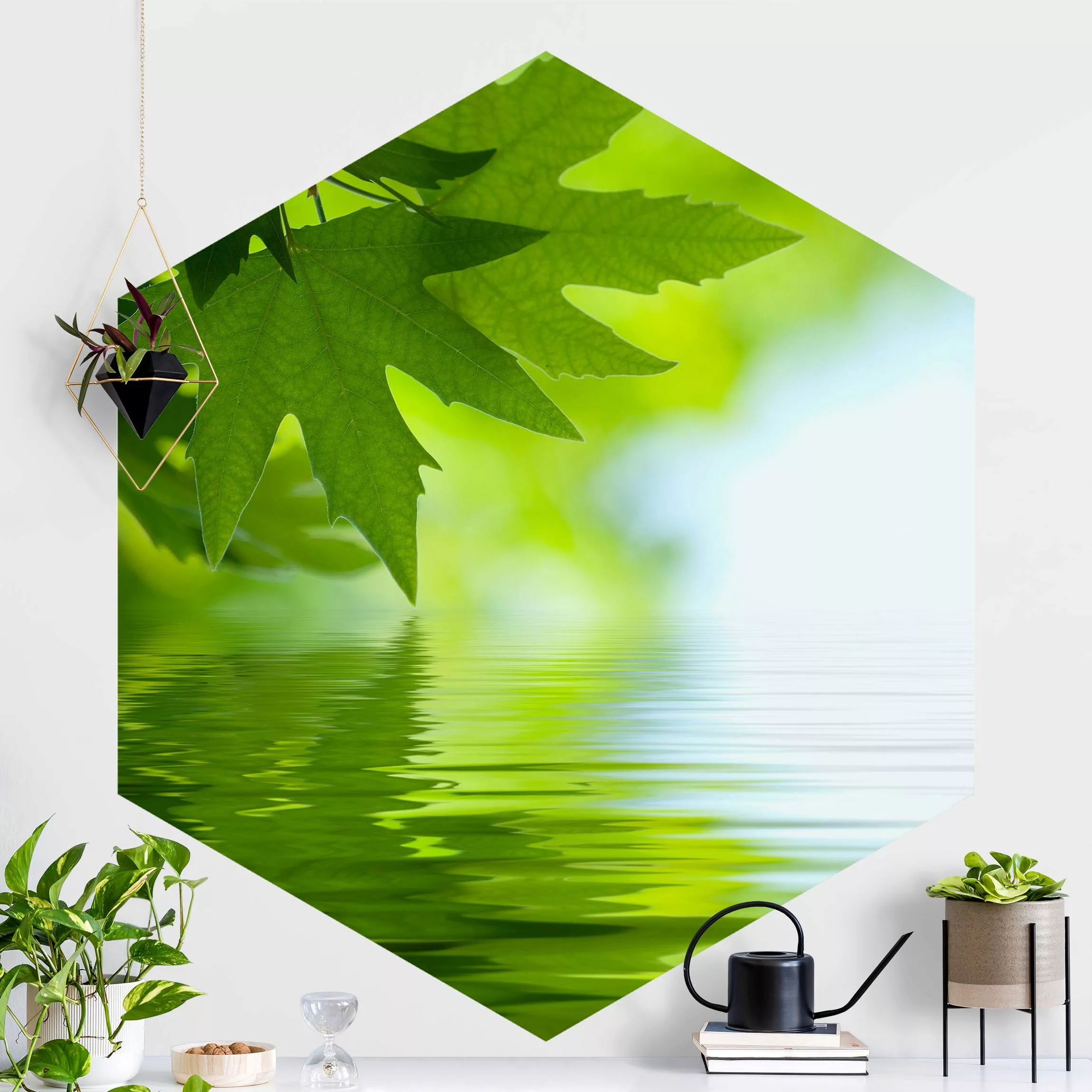 Hexagon Fototapete selbstklebend Green Ambiance III günstig online kaufen