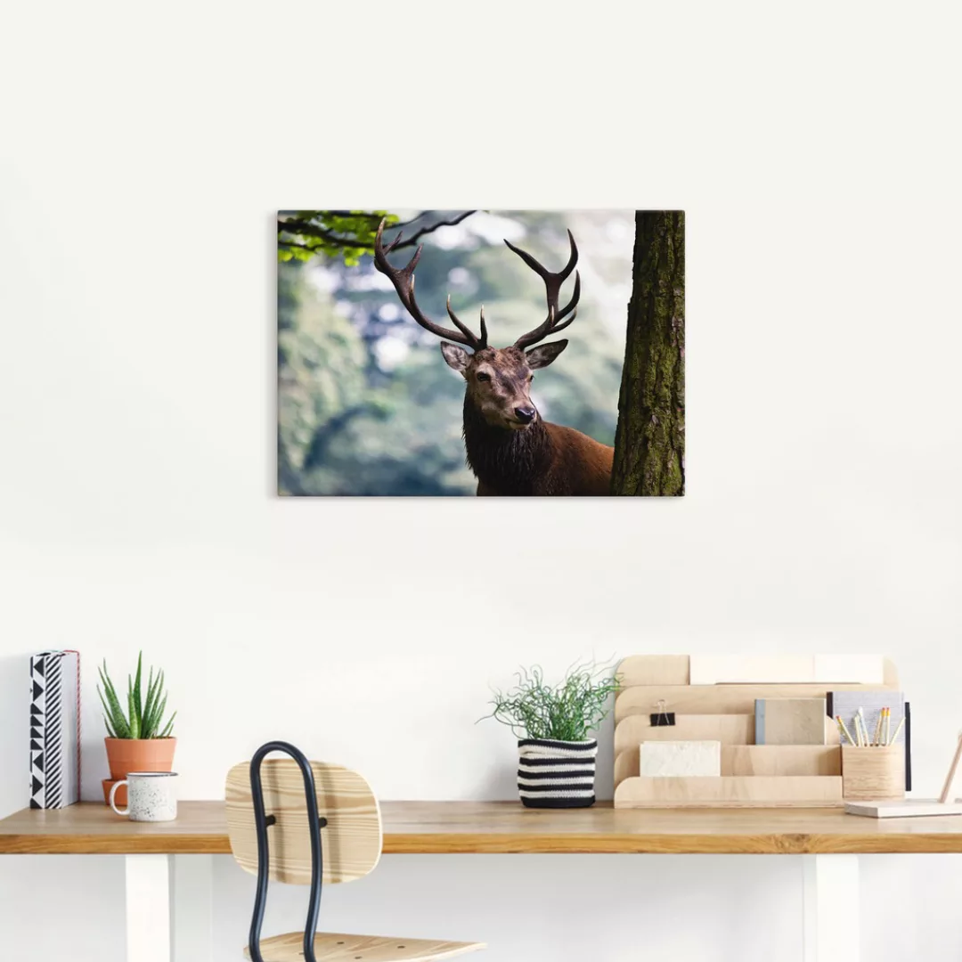 Artland Wandbild »Hirsch«, Wildtiere, (1 St.), als Alubild, Outdoorbild, Le günstig online kaufen