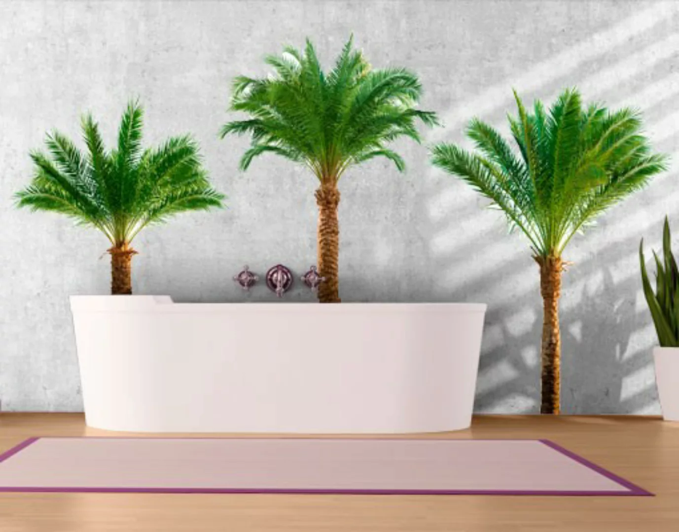 Wandtattoo Baum No.486 Palmen Set günstig online kaufen