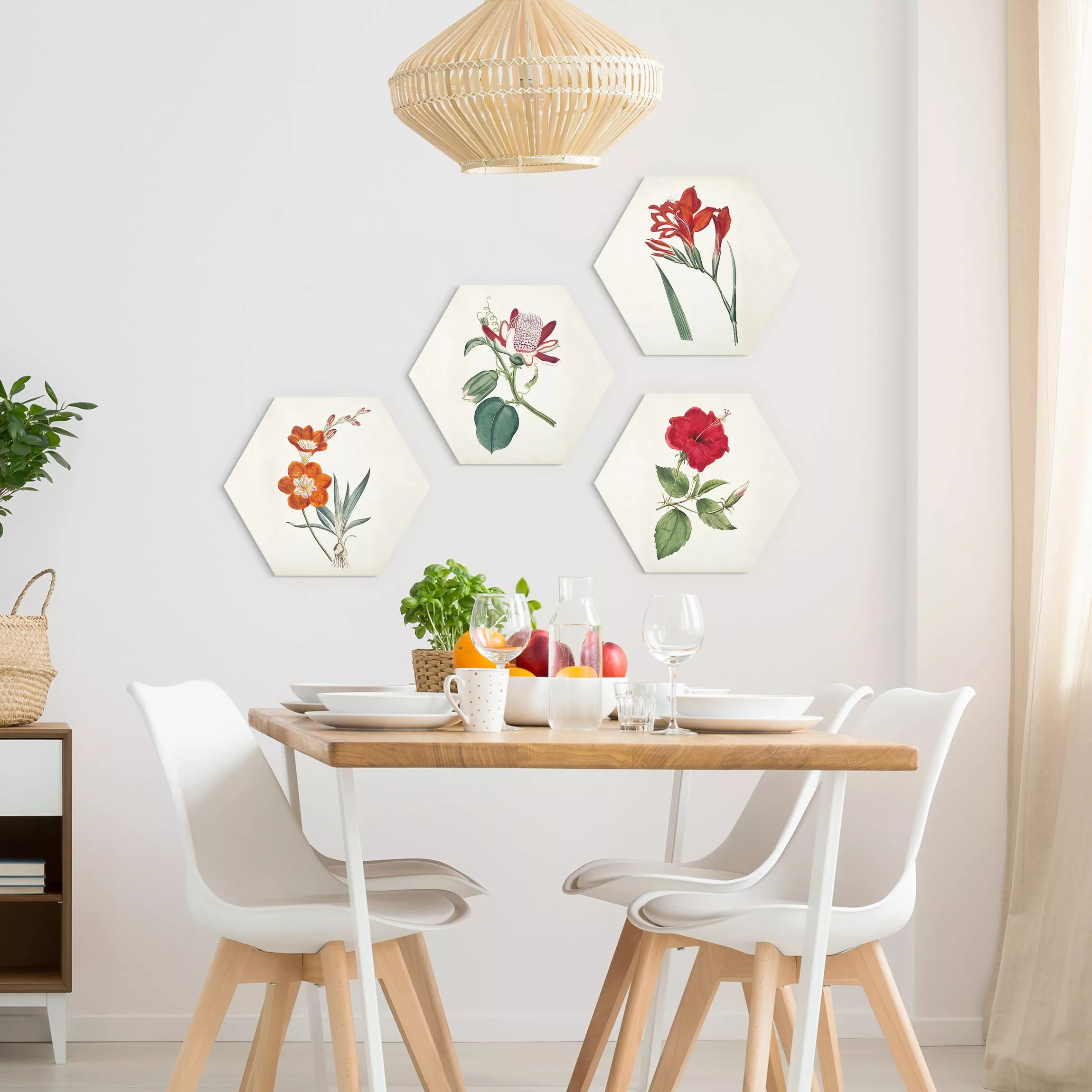 4-teiliges Hexagon-Alu-Dibond Bild Gartenschönheit Set III günstig online kaufen