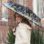 Taschenschirm mit Farbwechsel günstig online kaufen