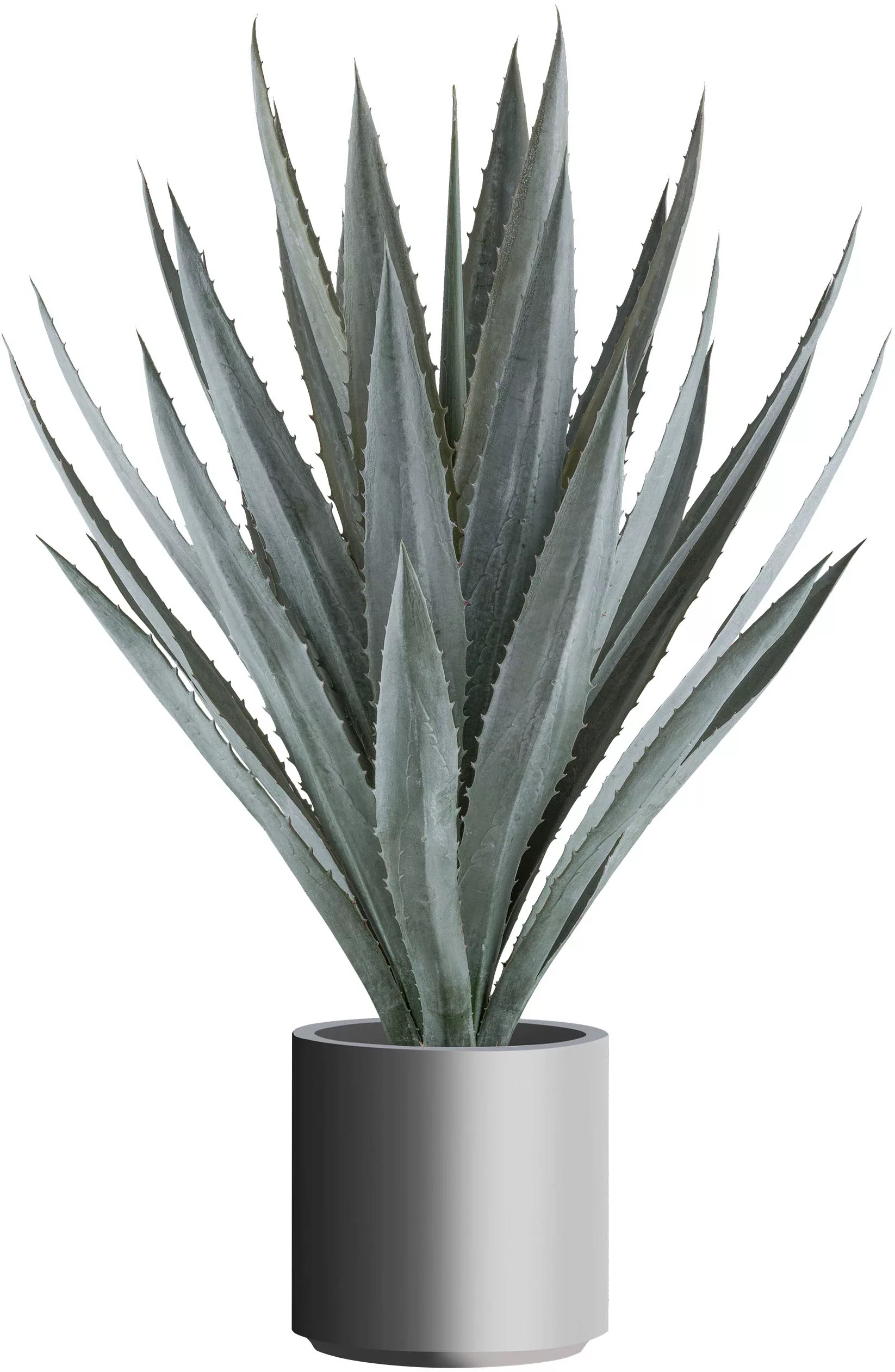 Creativ green Kunstpflanze "Agave", im eleganten grauen Topf günstig online kaufen