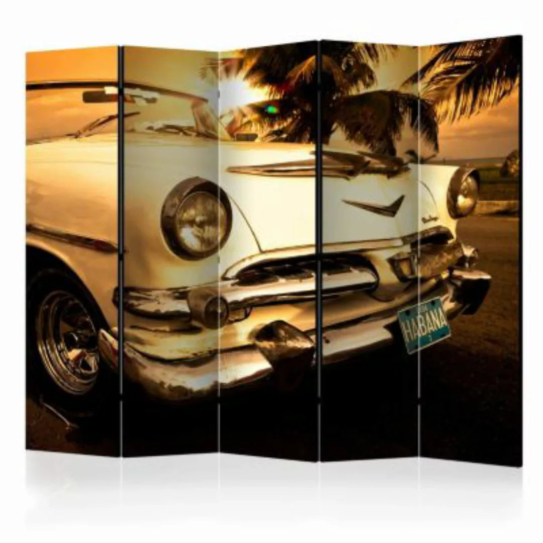 artgeist Paravent Viva Havana! II [Room Dividers] mehrfarbig Gr. 225 x 172 günstig online kaufen