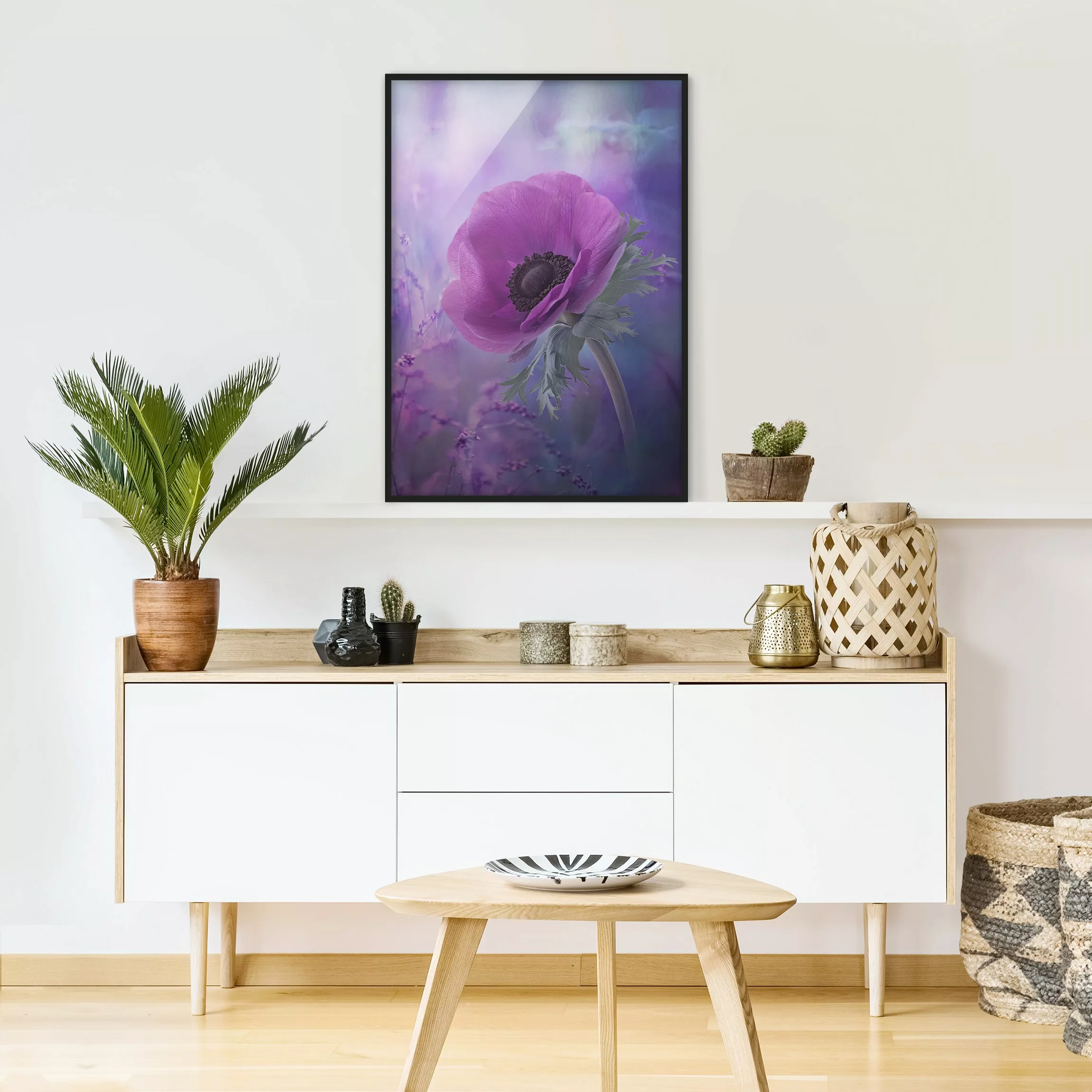 Bild mit Rahmen Blumen - Hochformat Anemonenblüte in Violett günstig online kaufen