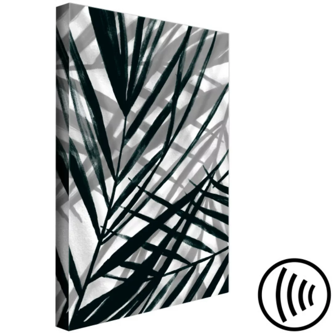 Leinwandbild Blätter-Schatten - graue, pflanzliche Elemente mit schwarzen S günstig online kaufen