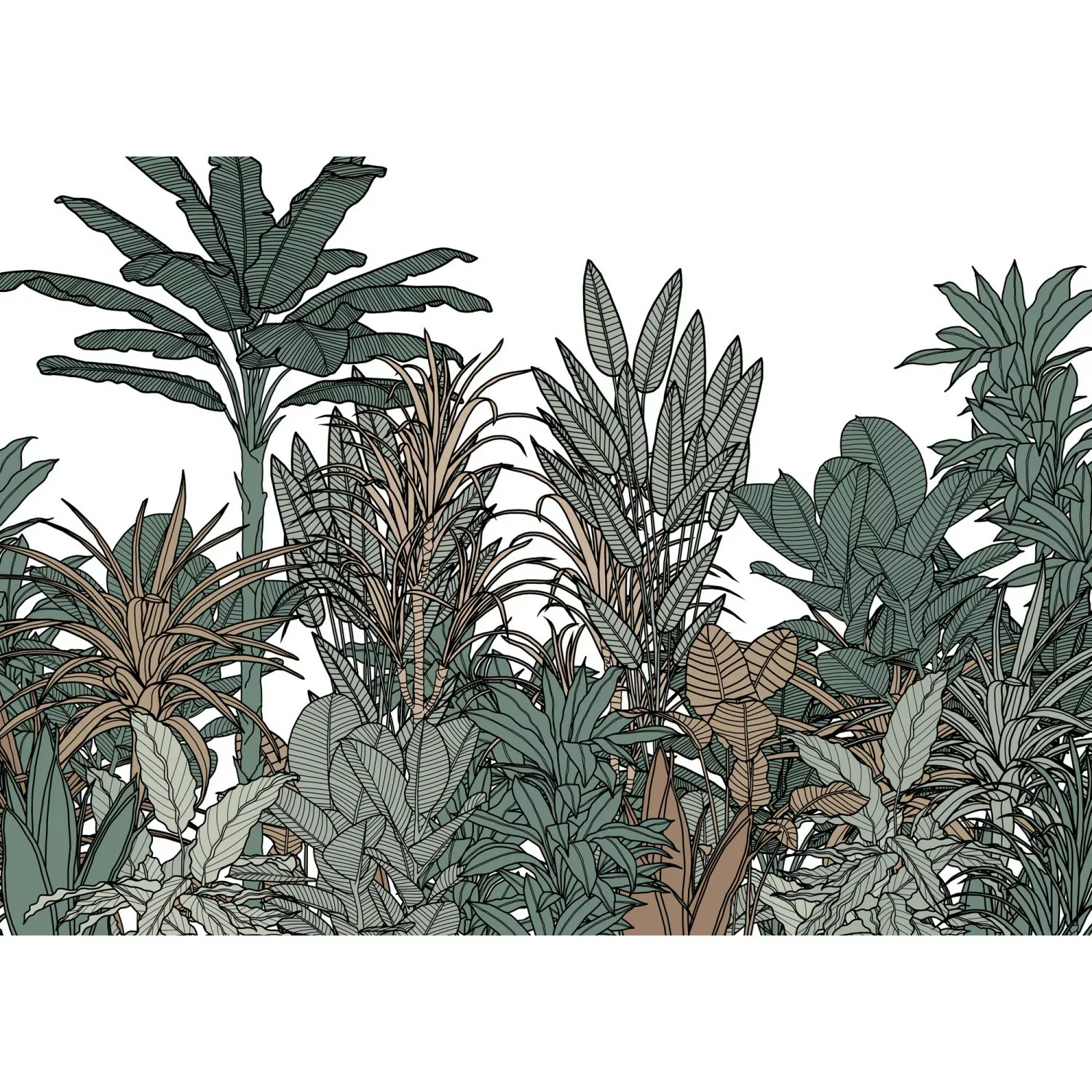 Komar Fototapete Vlies Doodle Plants Color  350 x 250 cm günstig online kaufen