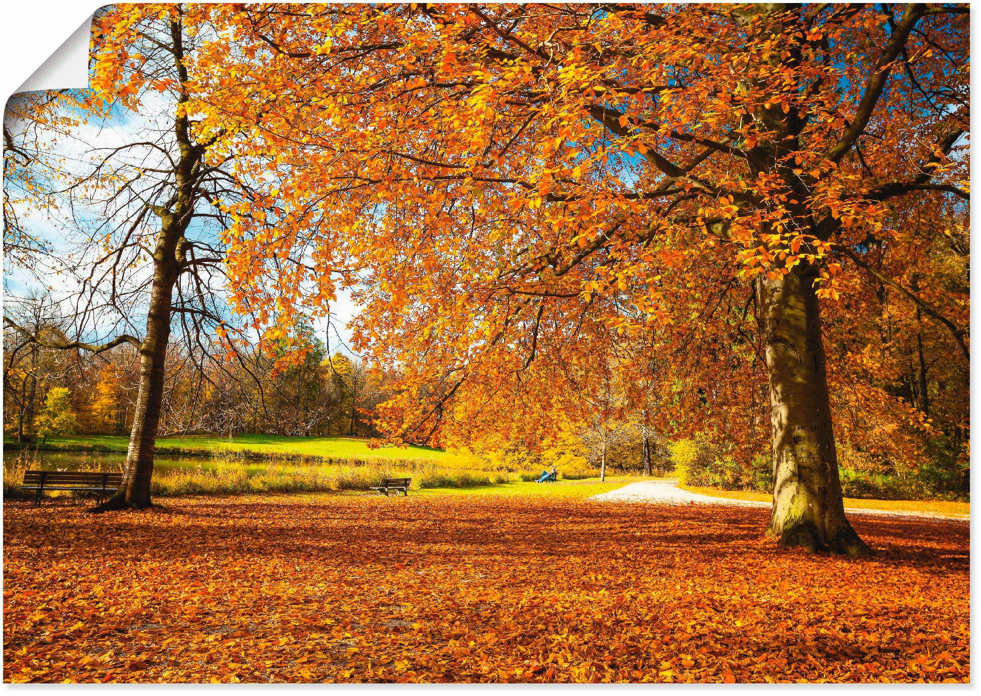 Artland Wandbild "Herbst bei Schlosses Nymphenburg", Wiesen & Bäume, (1 St. günstig online kaufen