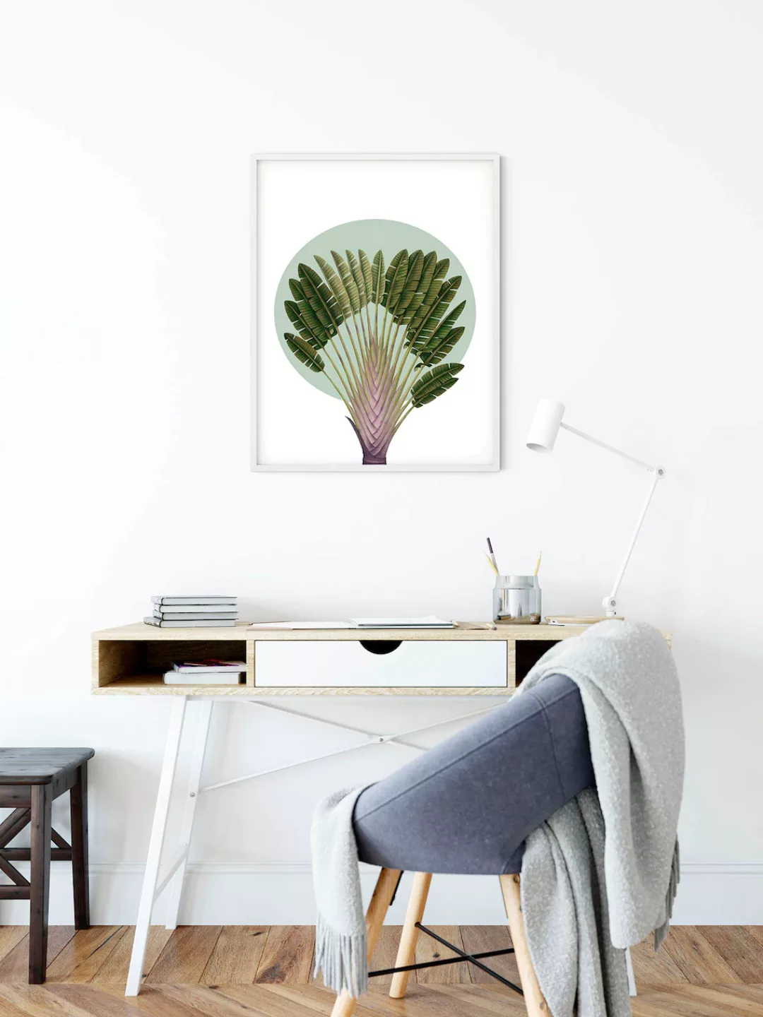 Komar Wandbild "Botanical Garden Pinnate Palm", (1 St.), Deutsches Premium- günstig online kaufen