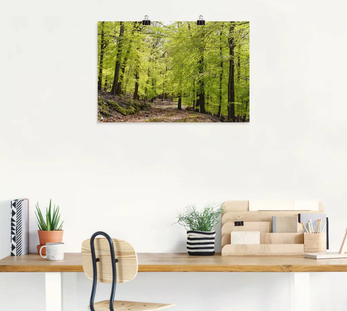 Artland Wandbild "Die Buchen im Frühling", Wald, (1 St.), als Alubild, Outd günstig online kaufen