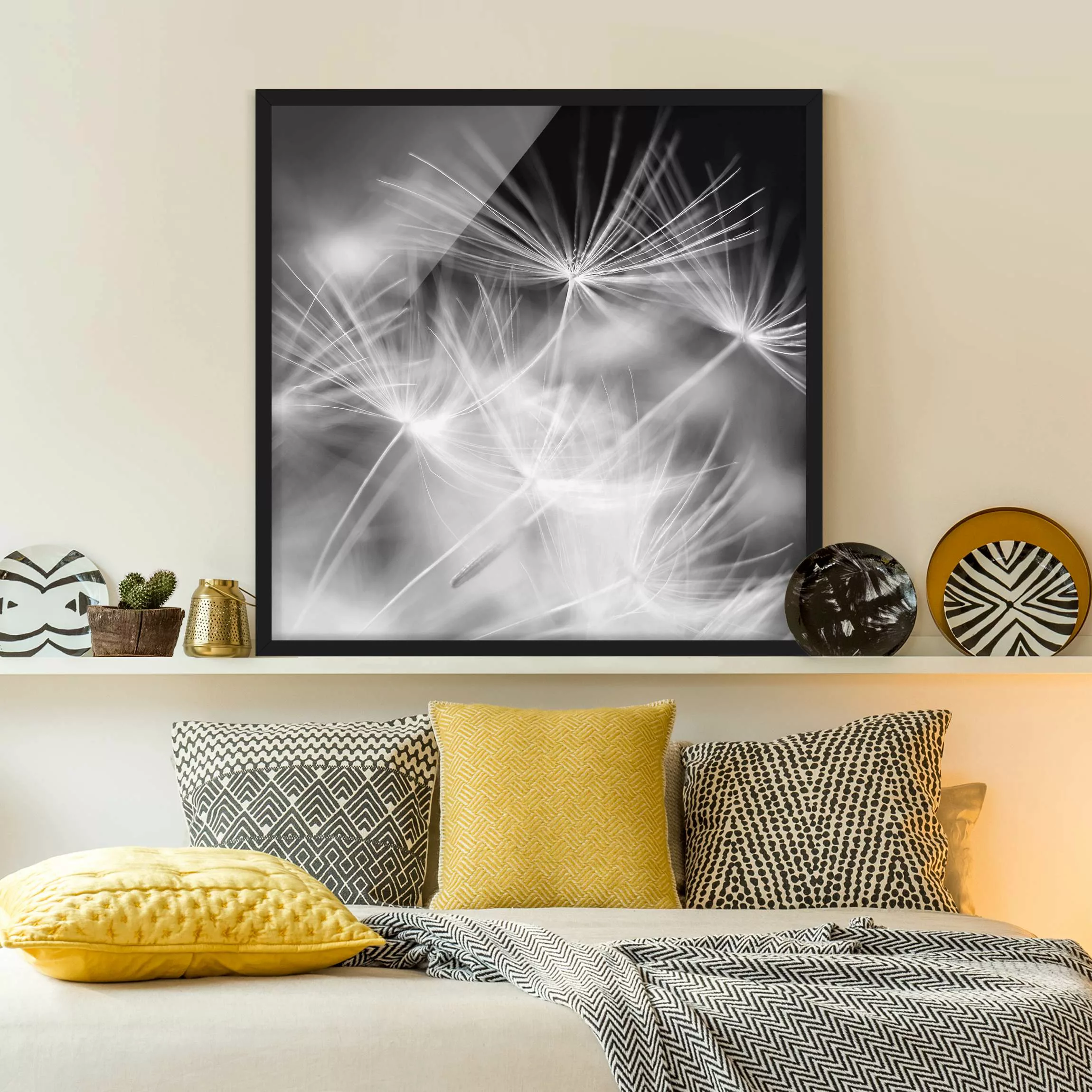Bild mit Rahmen Blumen - Quadrat Bewegte Pusteblumen Nahaufnahme auf schwar günstig online kaufen