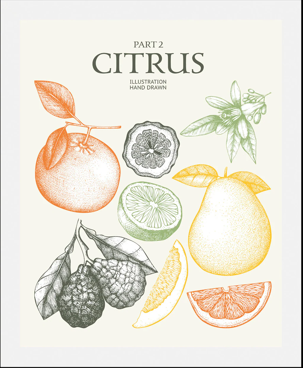 queence Bild "Citrus", Obst-Obst Bilder-Essen-Lebensmittel-Kunst-Schriftzug günstig online kaufen