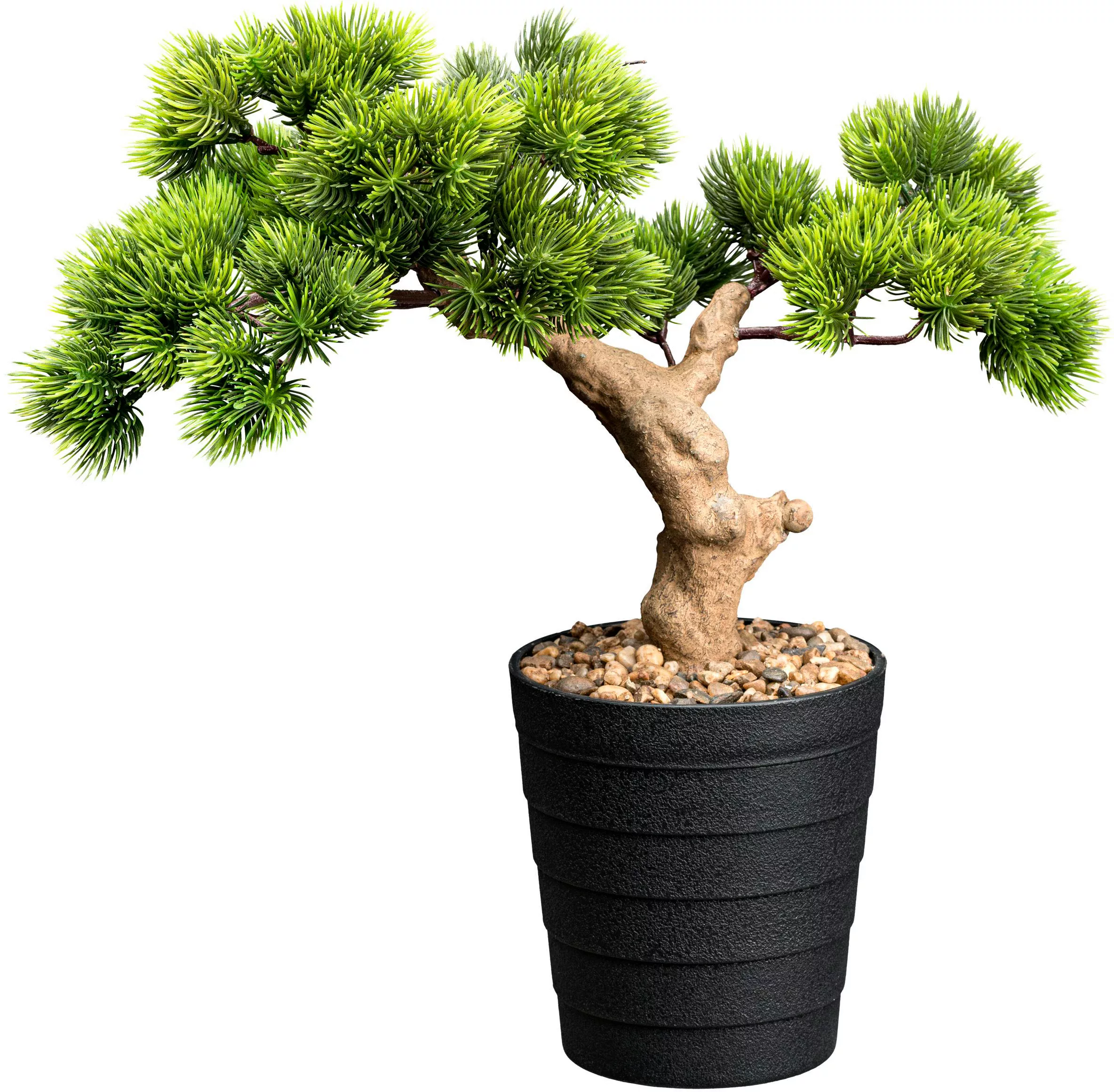 Creativ green Kunstbonsai "Bonsai Kiefer", mit Deko-Kies günstig online kaufen