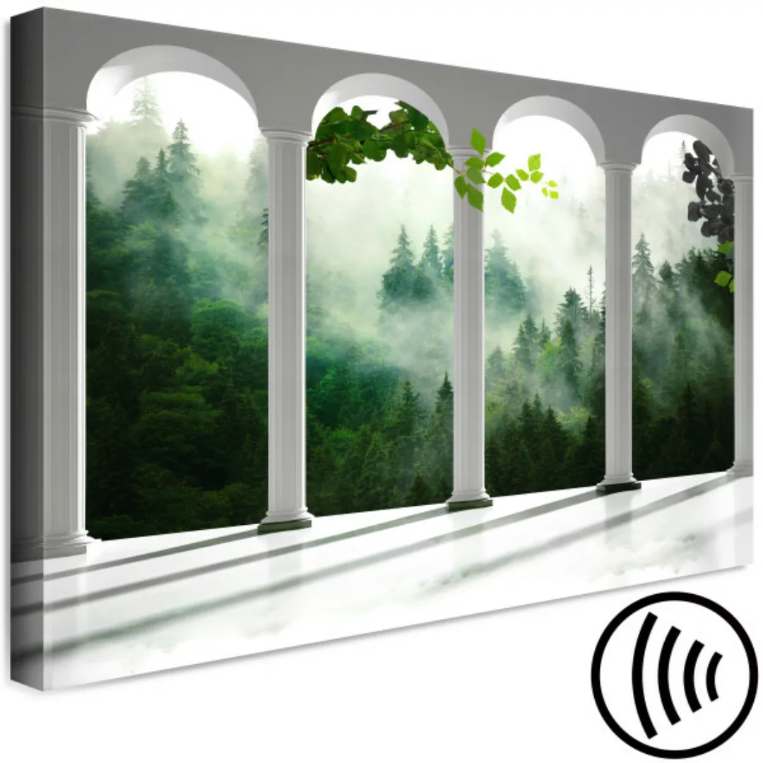 Leinwandbild Weiße Säulen im Wald - Architektur auf einem Baum-Hintergrund günstig online kaufen