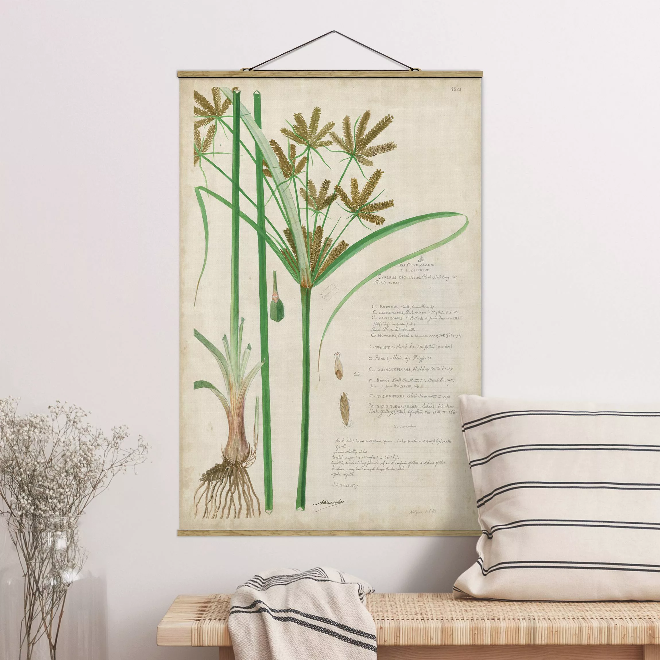 Stoffbild Blumen mit Posterleisten - Hochformat Vintage Botanik Zeichnung G günstig online kaufen