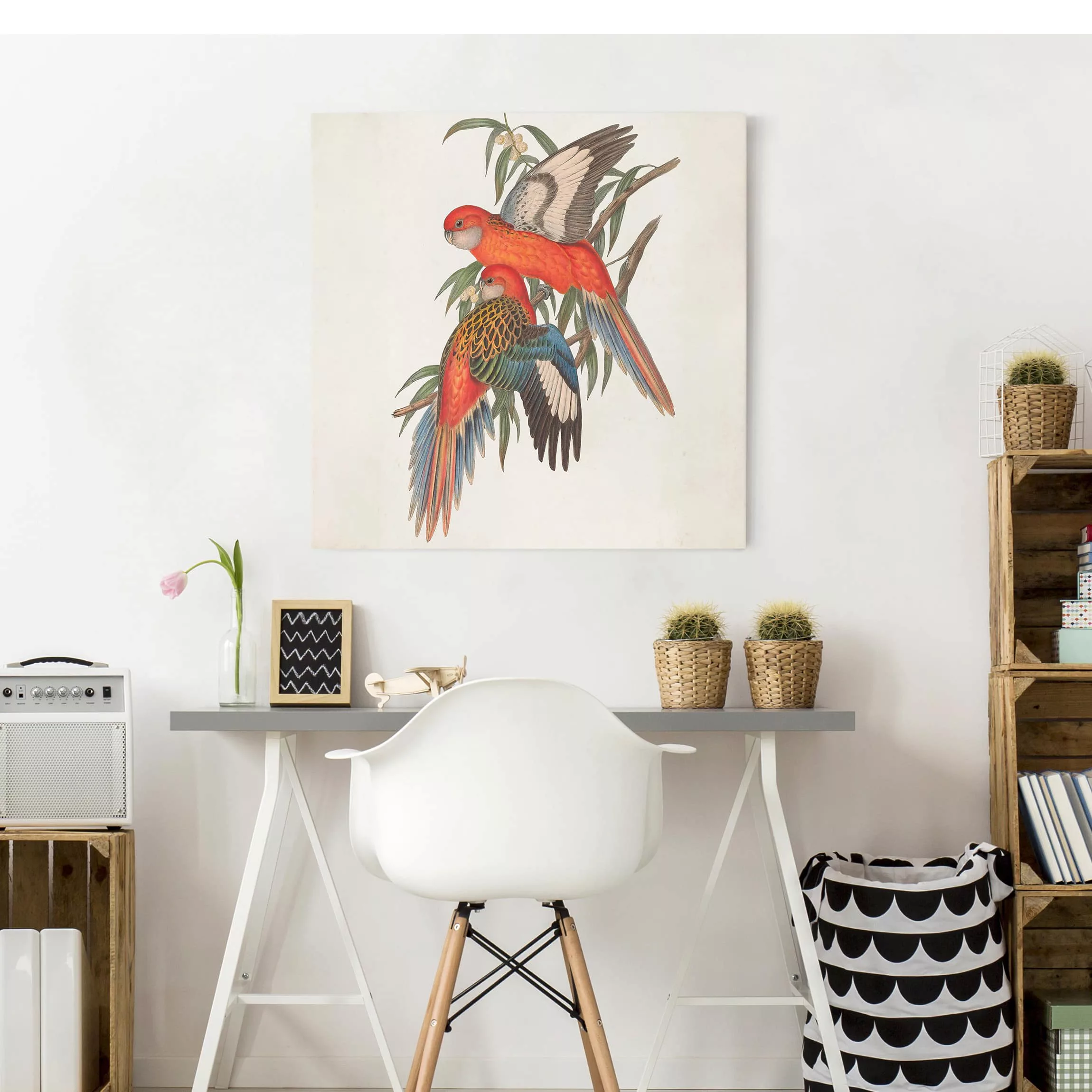 Leinwandbild Tiere - Quadrat Tropische Papageien I günstig online kaufen