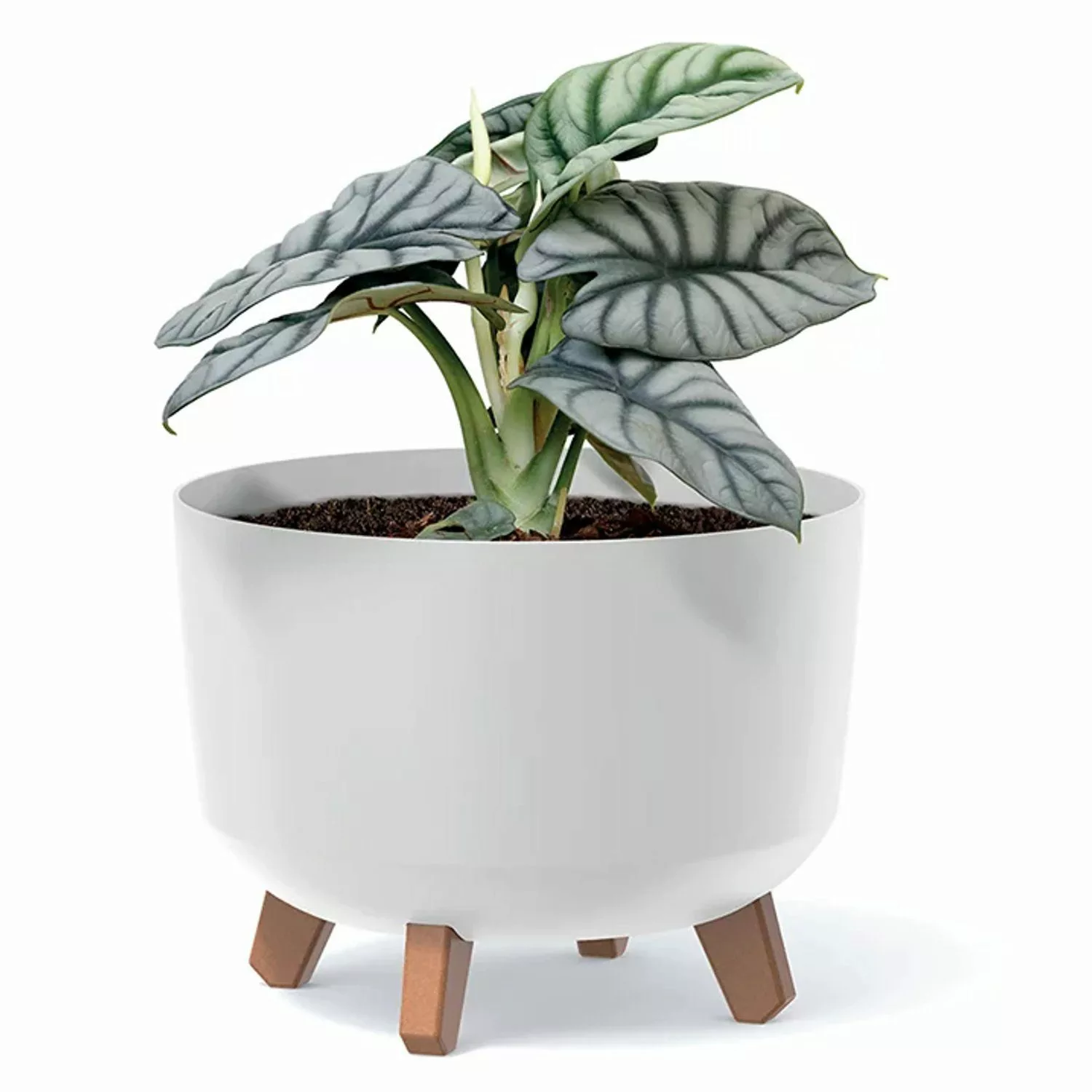 Prosperplast Blumentopf, Blumentopf mit abnehmbaren Beinen günstig online kaufen