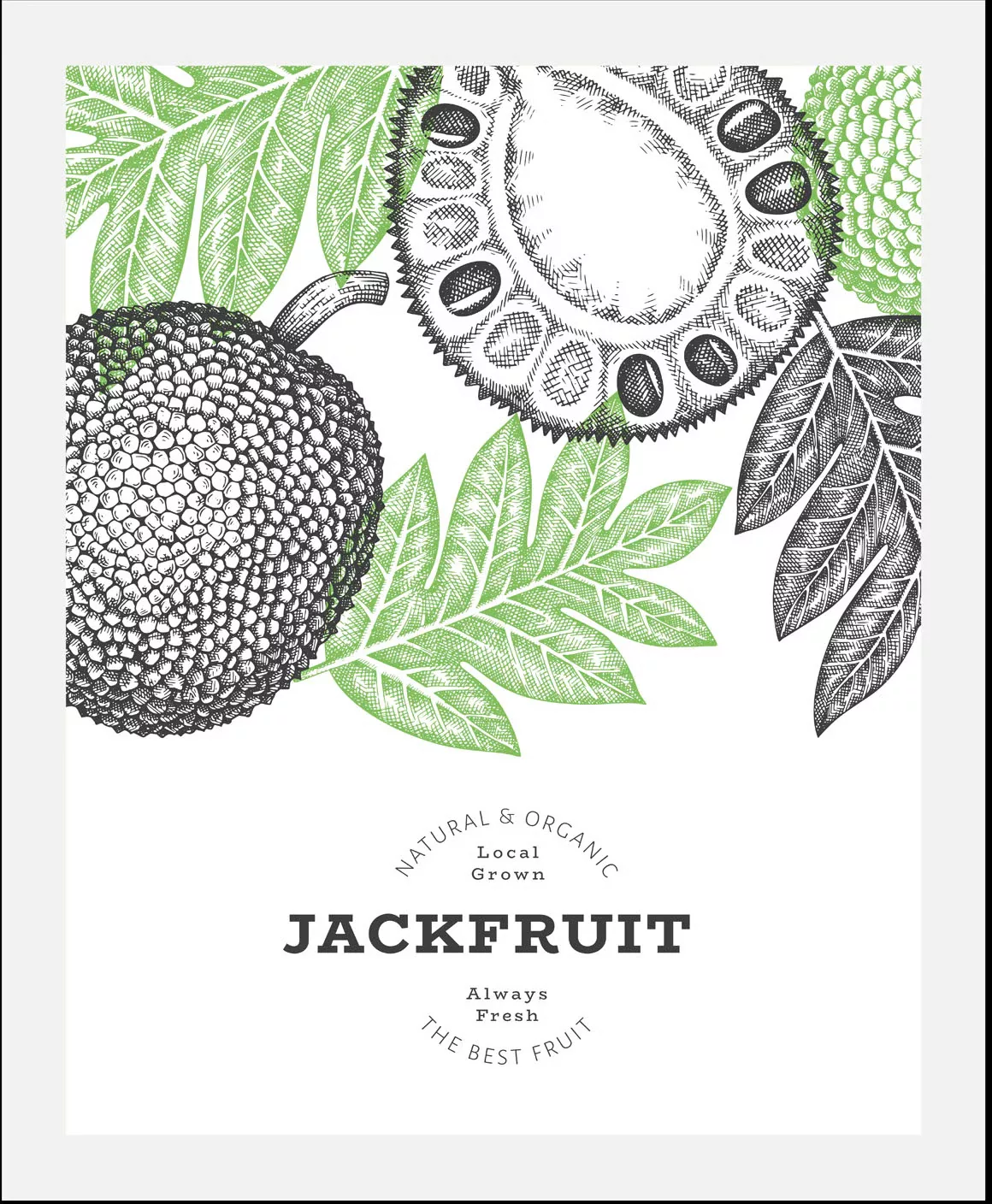 queence Bild "Jackfruit", (1 St.) günstig online kaufen