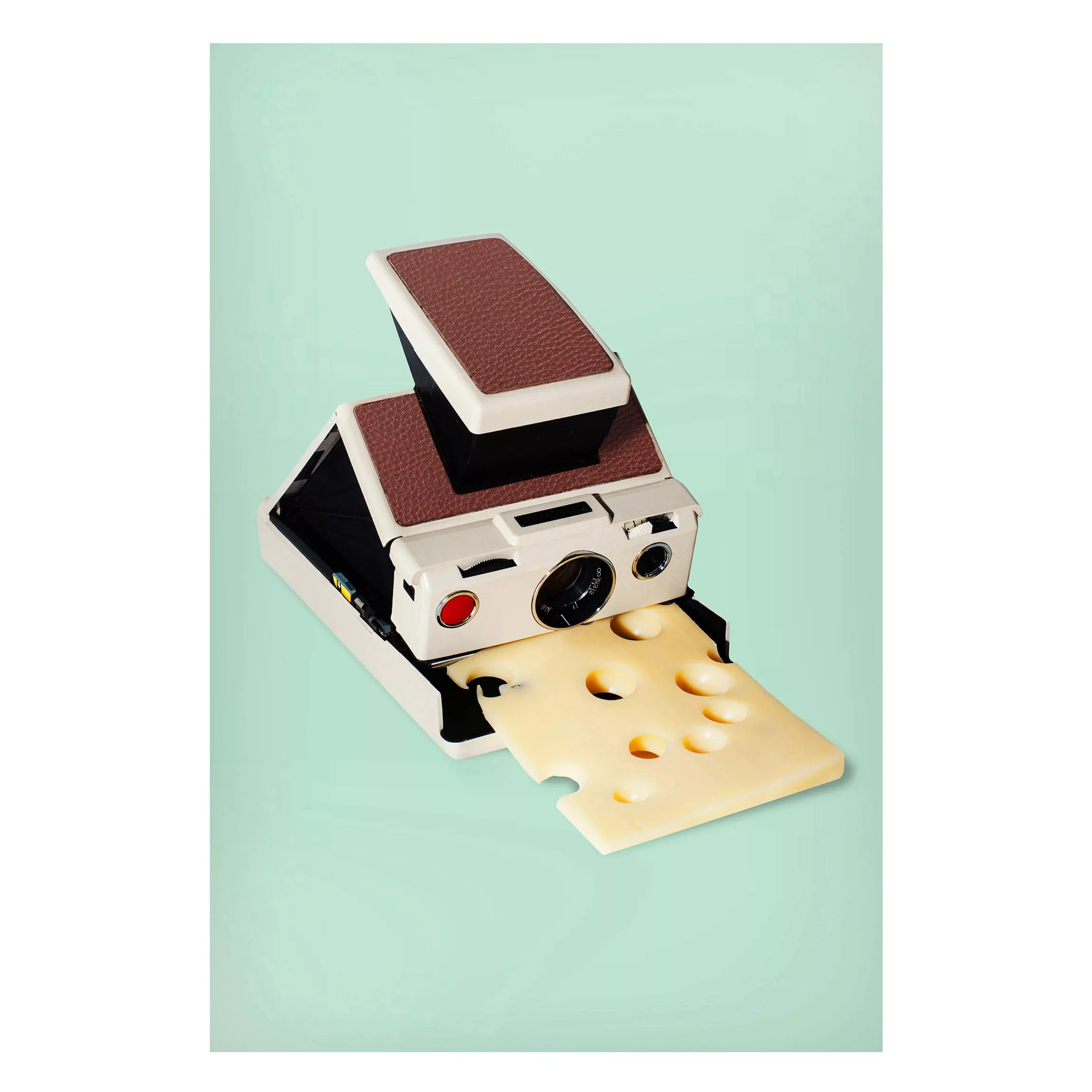 Magnettafel Küche - Hochformat 2:3 Kamera mit Käse günstig online kaufen