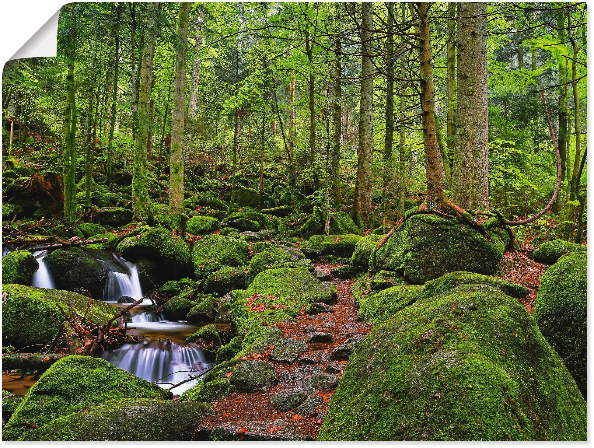 Artland Wandbild "Zauberwald", Wald, (1 St.), als Leinwandbild, Poster in v günstig online kaufen