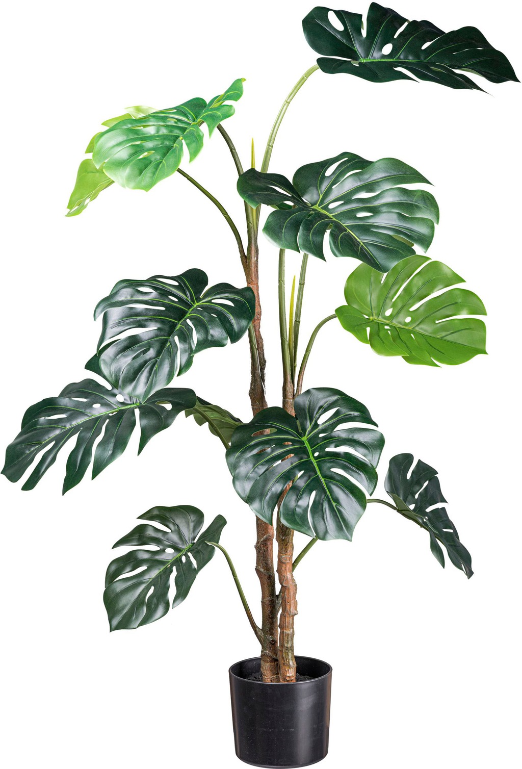 Creativ green Künstliche Zimmerpflanze »Splitphilodendron«, mit detailgetre günstig online kaufen