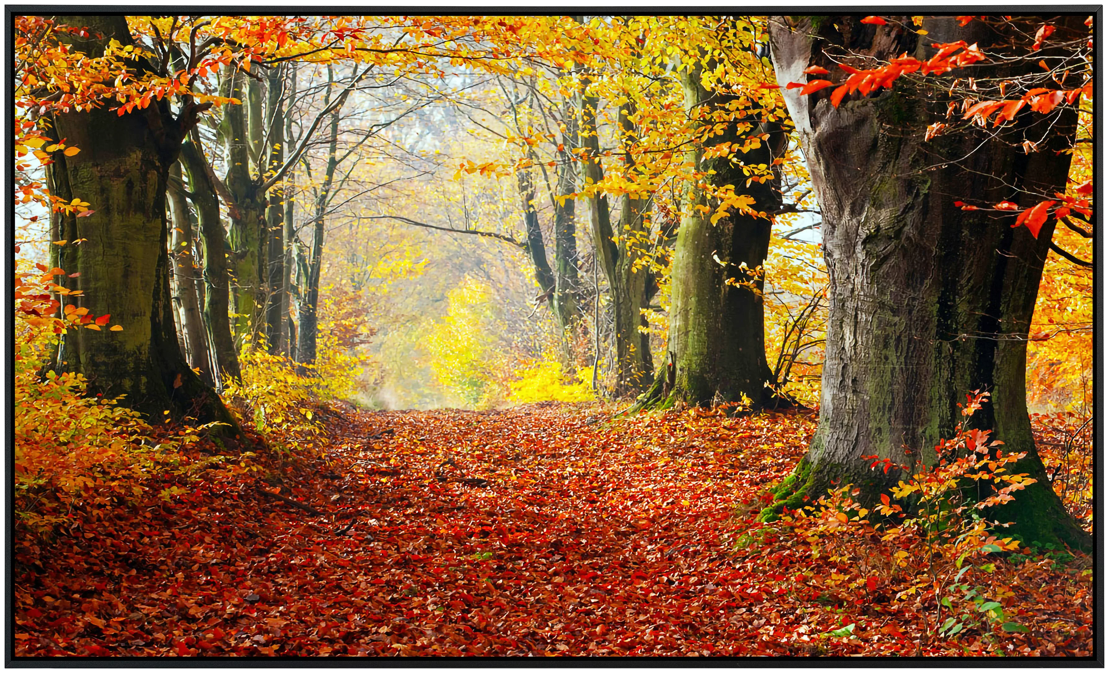 Papermoon Infrarotheizung »Mystischer Herbstpfad«, sehr angenehme Strahlung günstig online kaufen