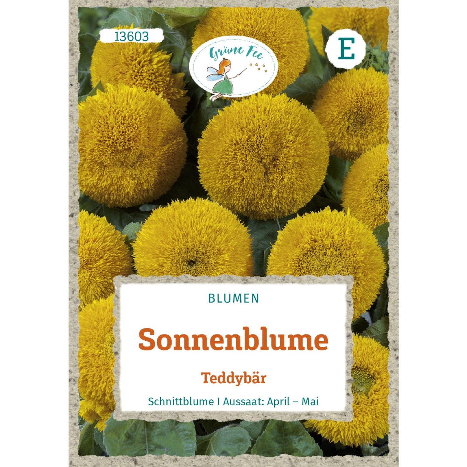 Grüne Fee Sonnenblume Teddybär Saatgut günstig online kaufen