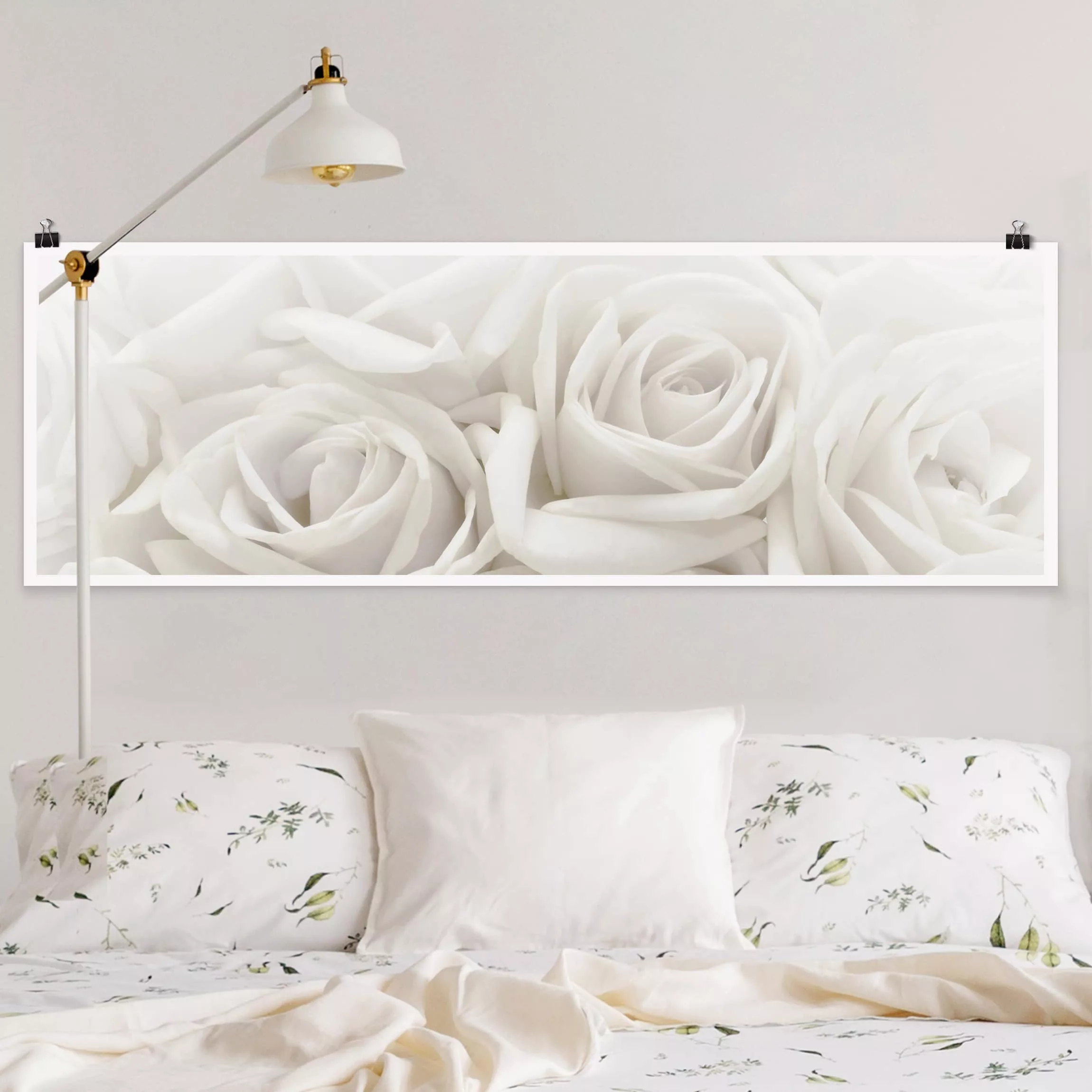 Panorama Poster Blumen Weiße Rosen günstig online kaufen