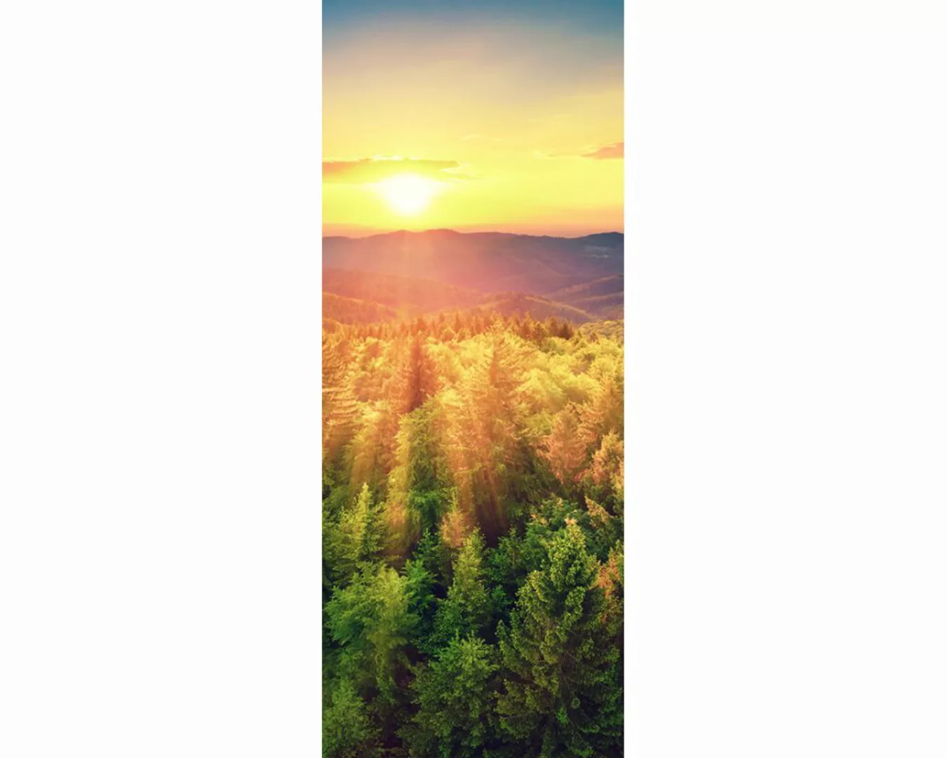 Dekopanel "Sonne Tannen" 1,00x2,50 m / Glattvlies Perlmutt günstig online kaufen