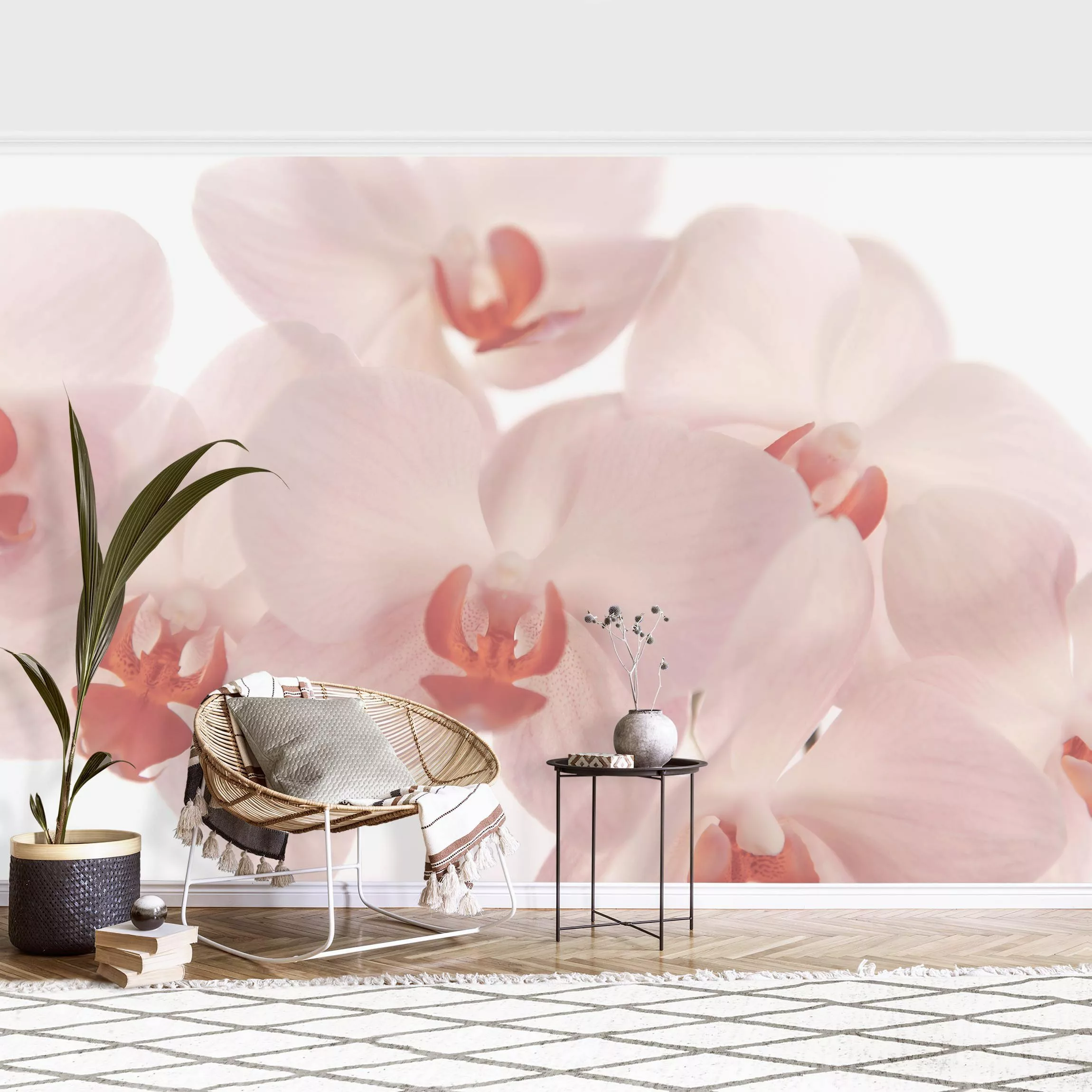 Fototapete Helle Orchidee Blumentapete - Svelte Orchids günstig online kaufen