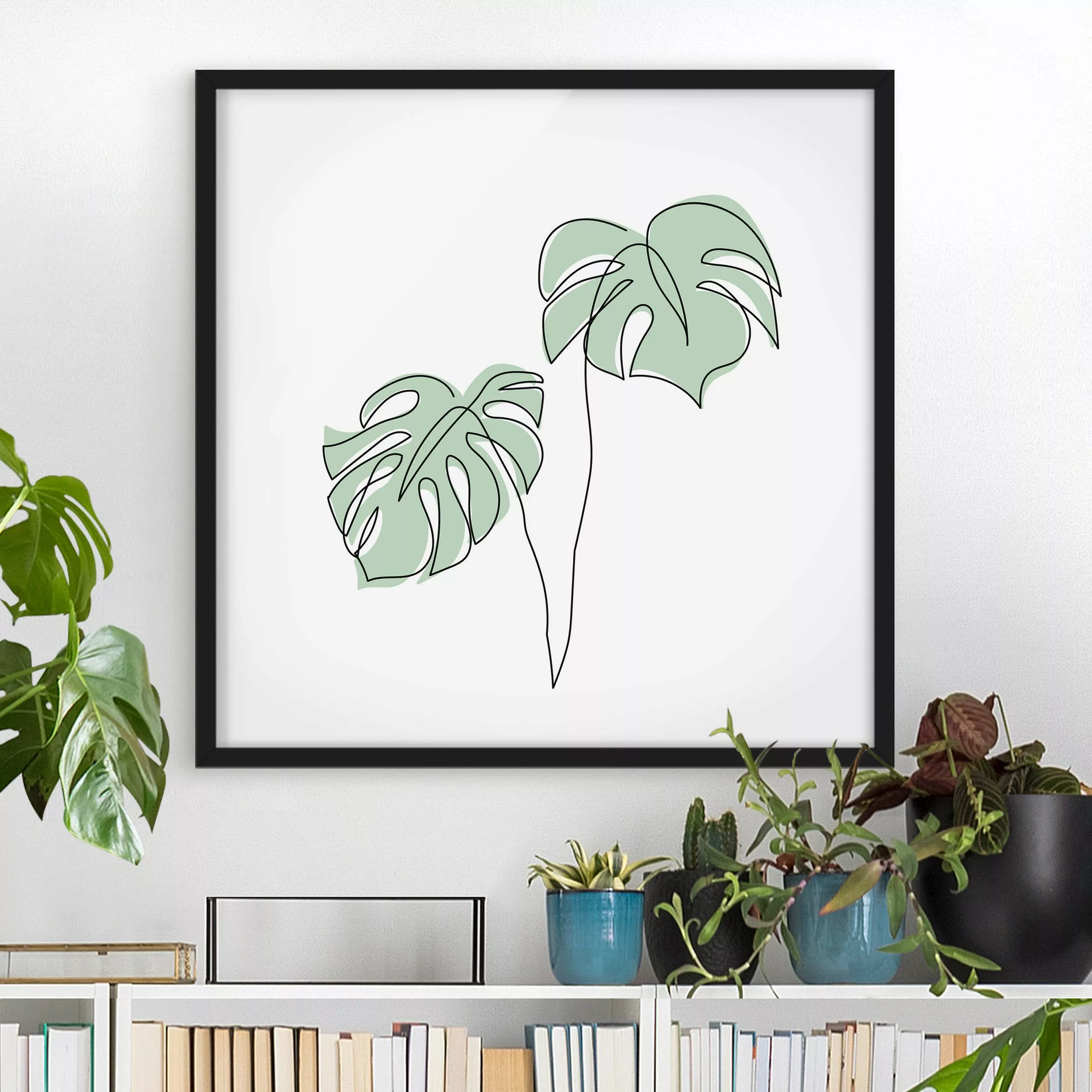 Bild mit Rahmen Blumen - Quadrat Blätter Monstera Line Art günstig online kaufen