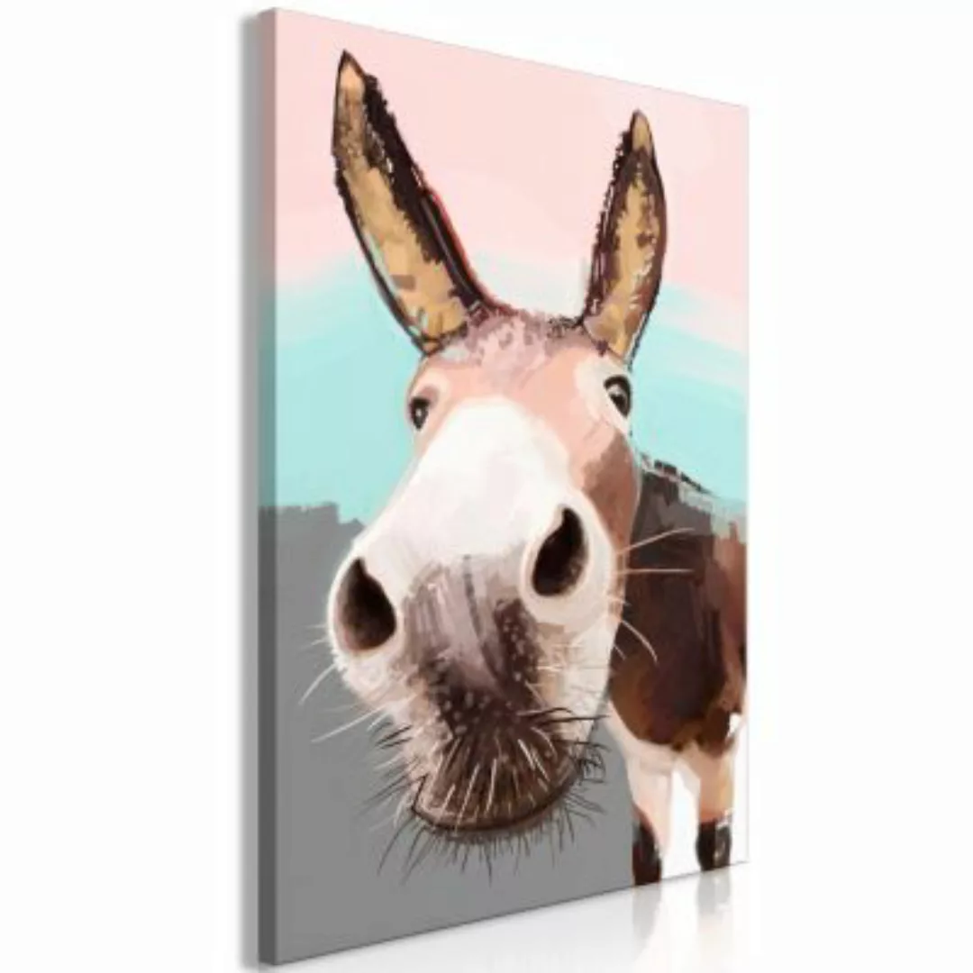 artgeist Wandbild Curious Donkey (1 Part) Vertical mehrfarbig Gr. 40 x 60 günstig online kaufen