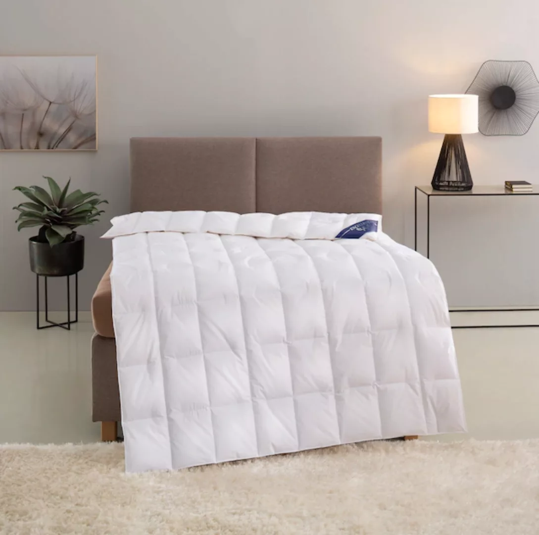 Excellent Daunenbettdecke »Zürich, Bettdecken für Sommer und Winter, Decke« günstig online kaufen