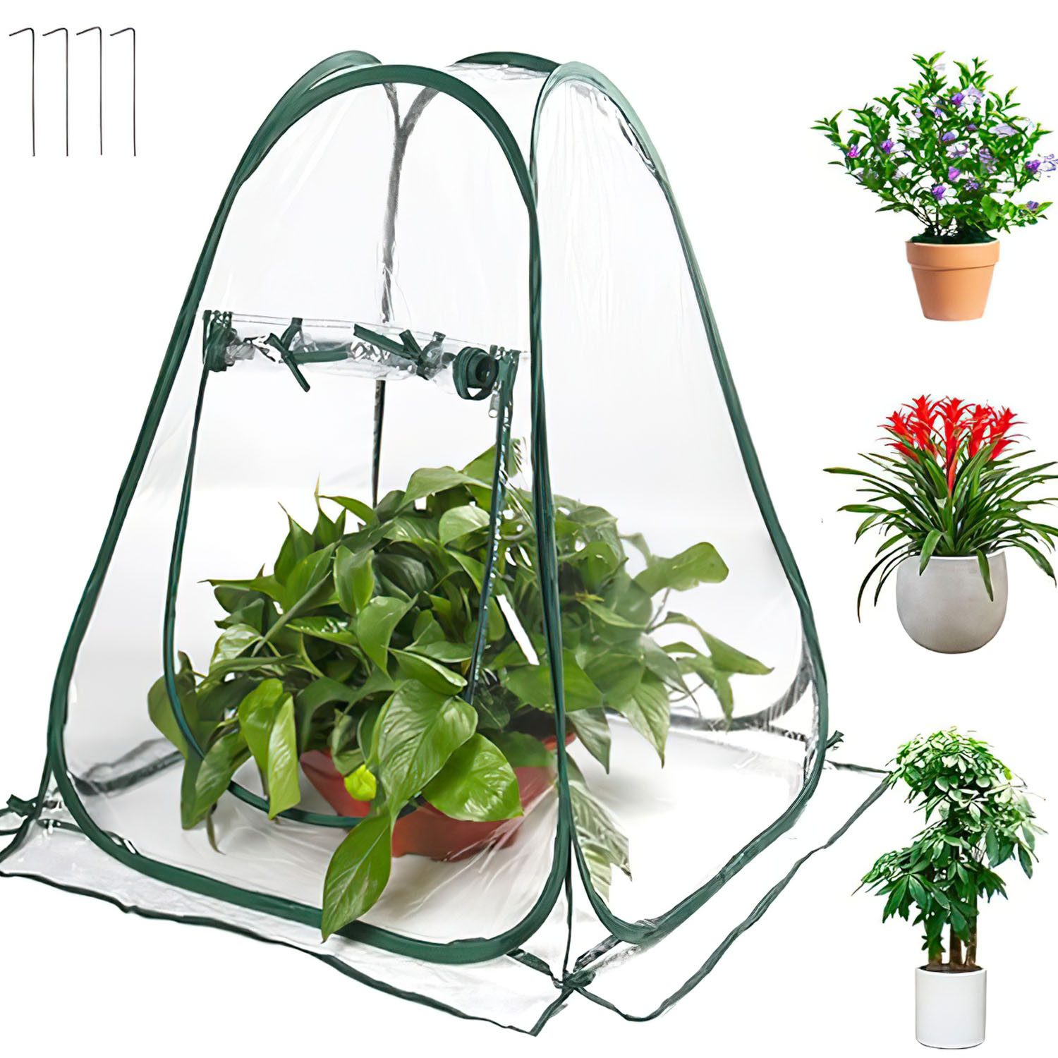 HEYHIPPO Gewächshaus 70x70x80cm Pop-up Mini Anzucht günstig online kaufen