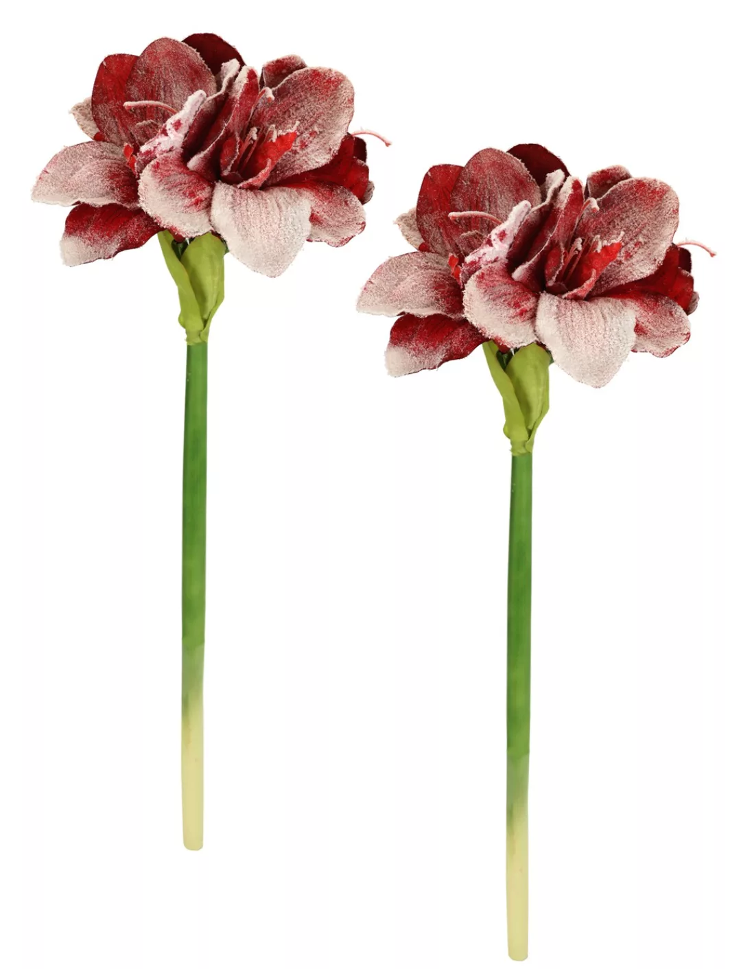 I.GE.A. Kunstblume "Amaryllis mit Kunstschnee", 2er Set Zweige Winterblume günstig online kaufen