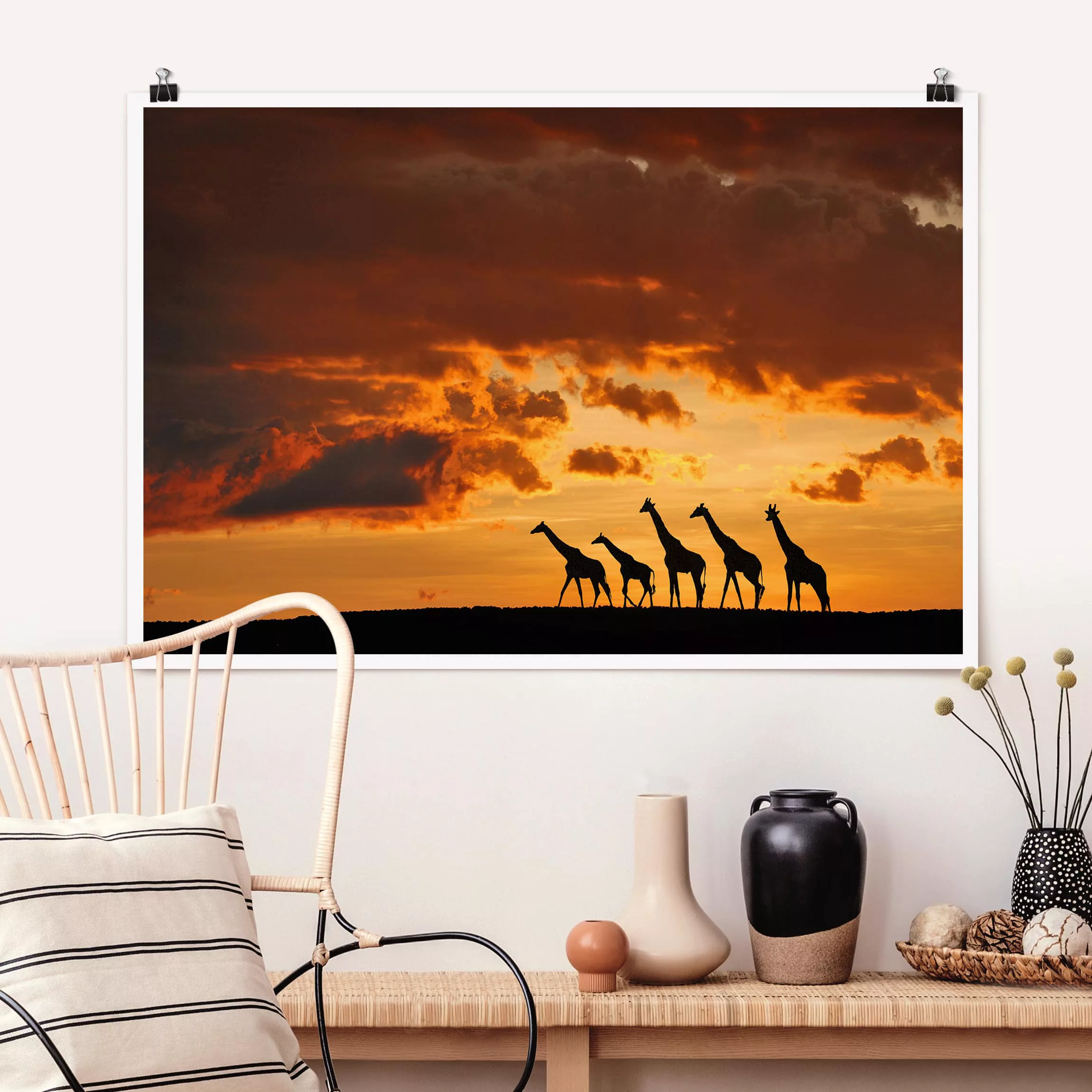 Poster Tiere - Querformat Fünf Giraffen günstig online kaufen