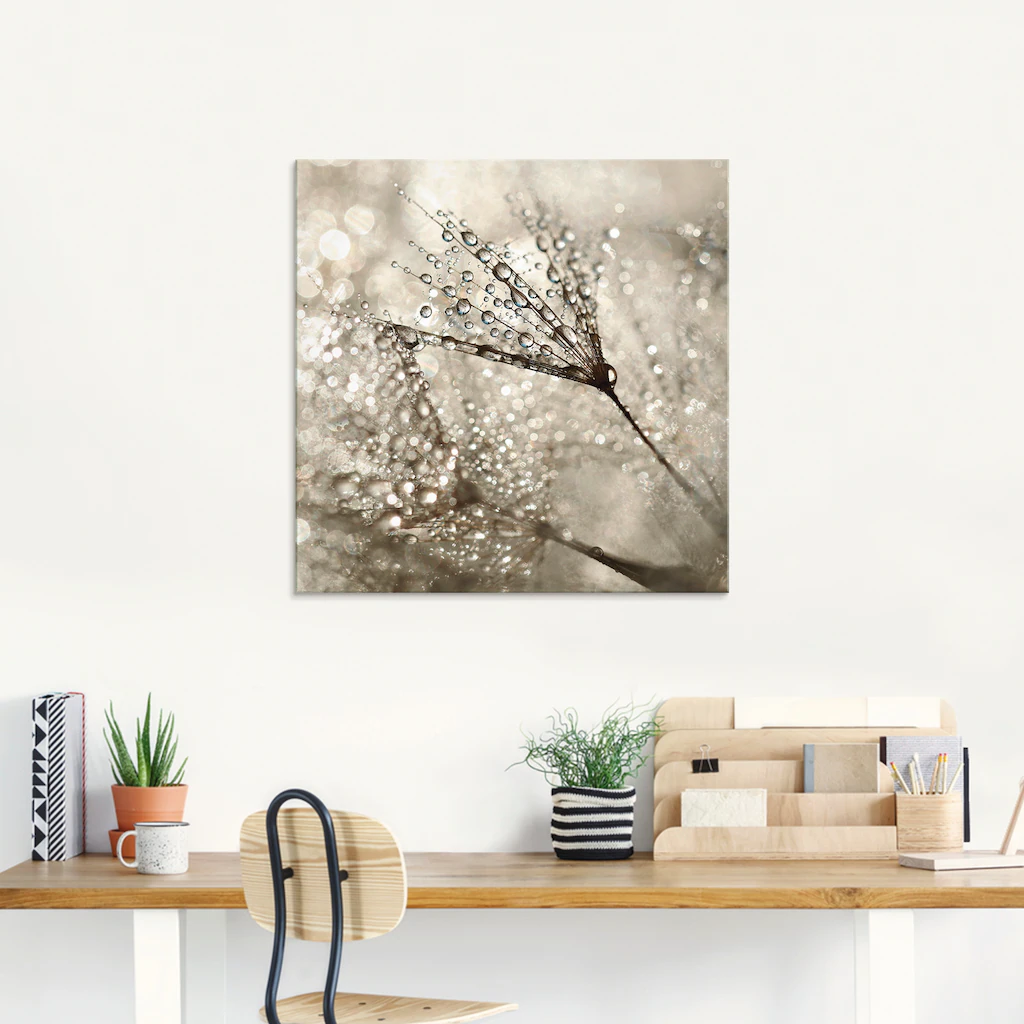 Artland Glasbild »Pusteblume Tautropfen I«, Blumen, (1 St.), in verschieden günstig online kaufen