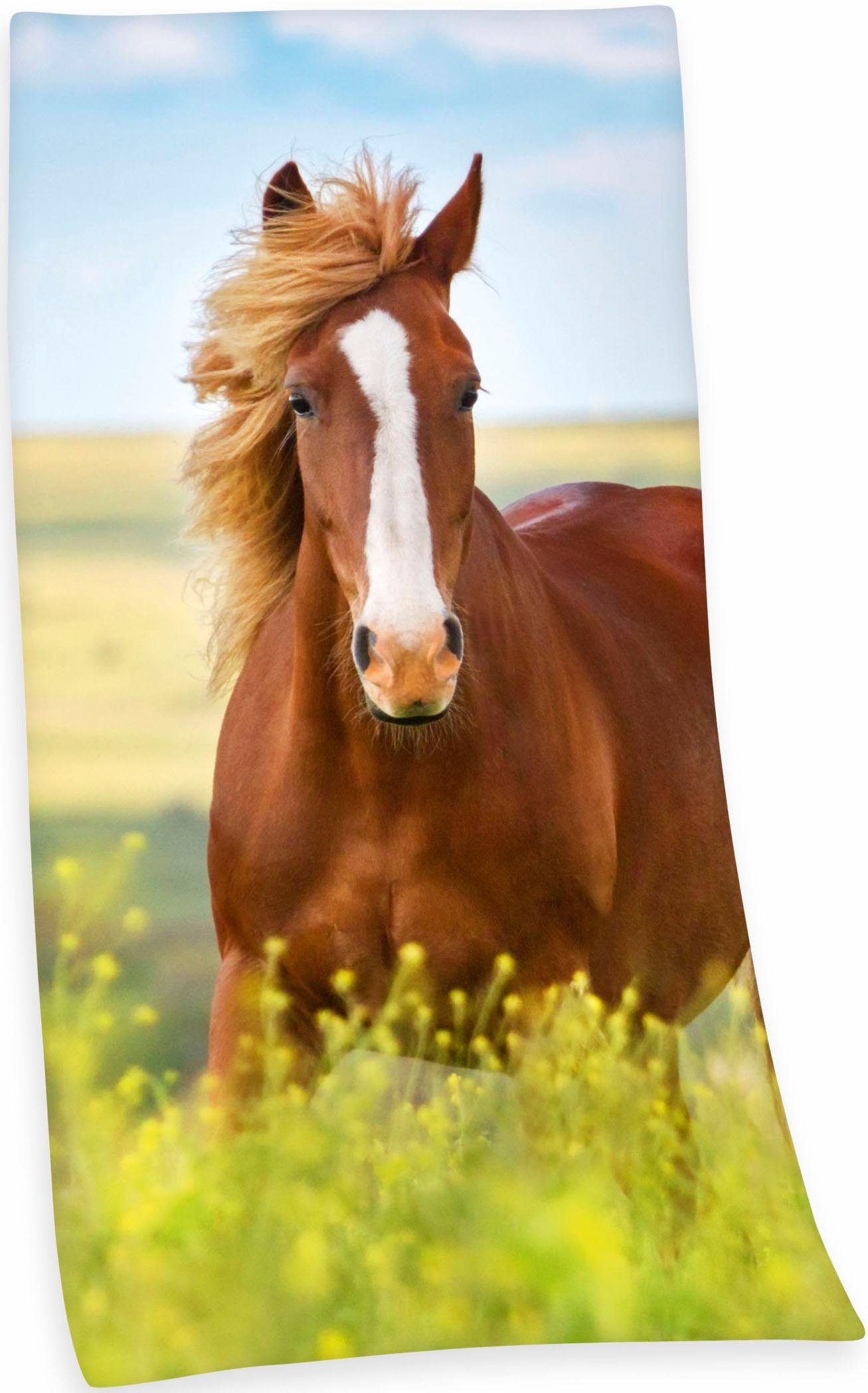 Herding Strandtuch Strandtuch "Pferd", Baumwolle, Velours günstig online kaufen